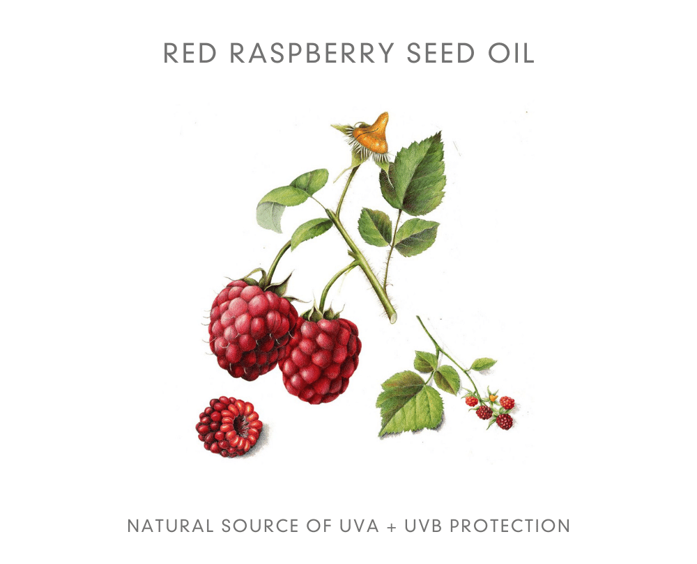 Organic Luminous SPF 30+ Cream - SUNKISSED