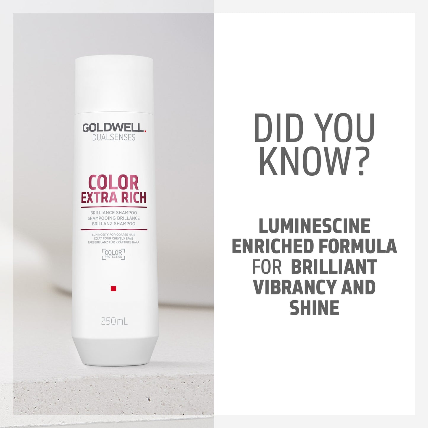 Goldwell Dualsenses Color Extra Rich Brilliance Shampoo, Anti-Colour Fading For Thick, Coarse Hair 250ml