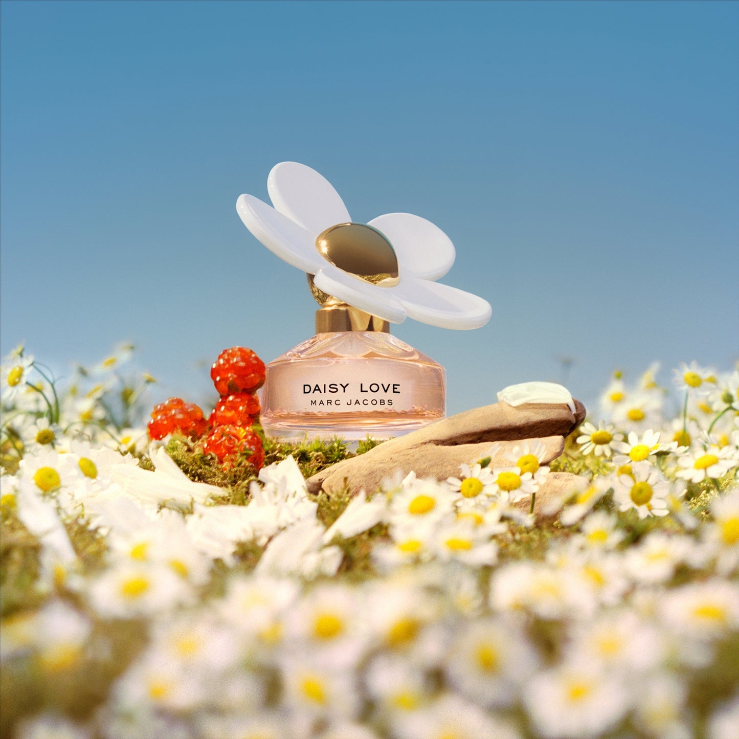 Marc Jacobs Daisy Love