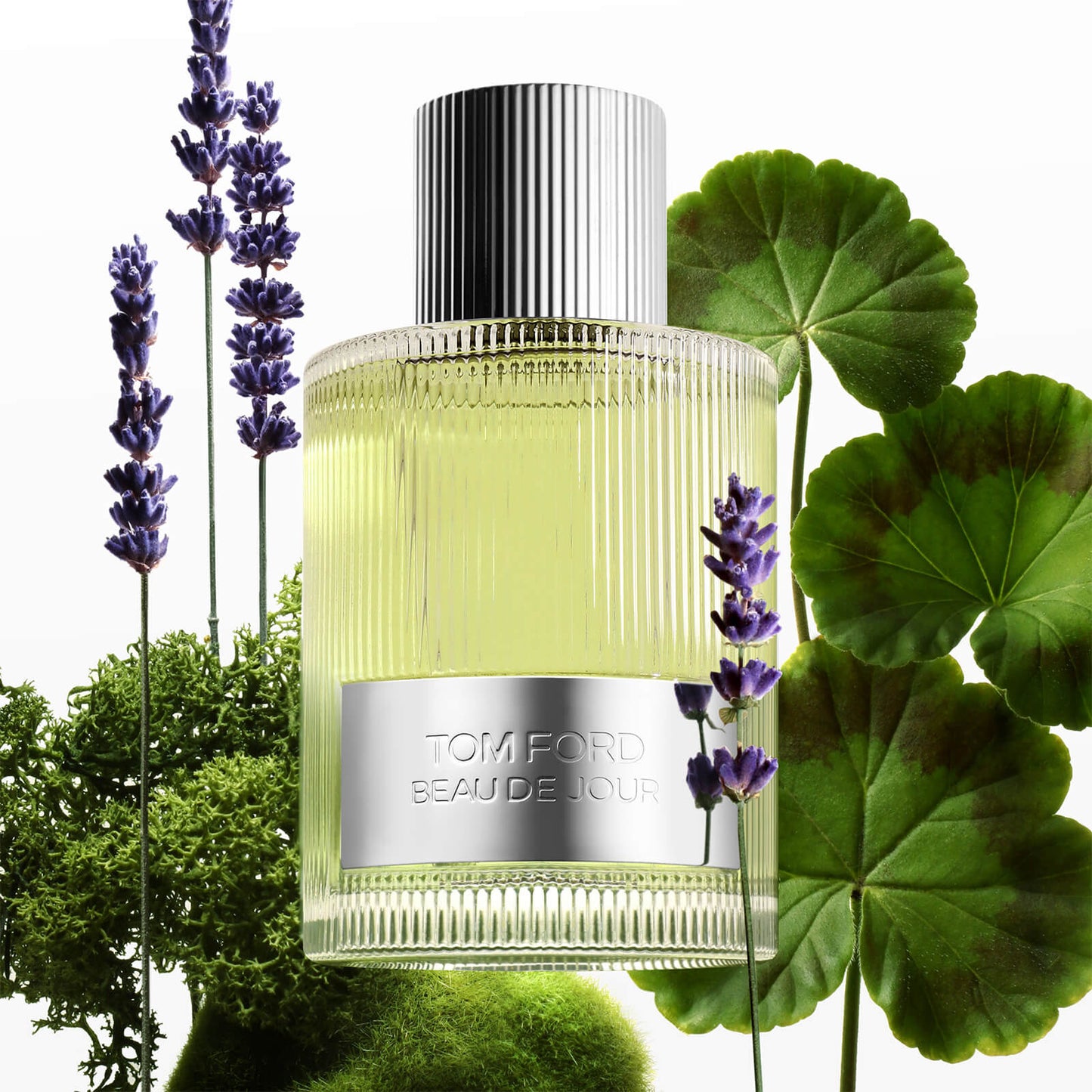 TOM FORD Signature Fragrances Beau de Jour Eau de Parfum
