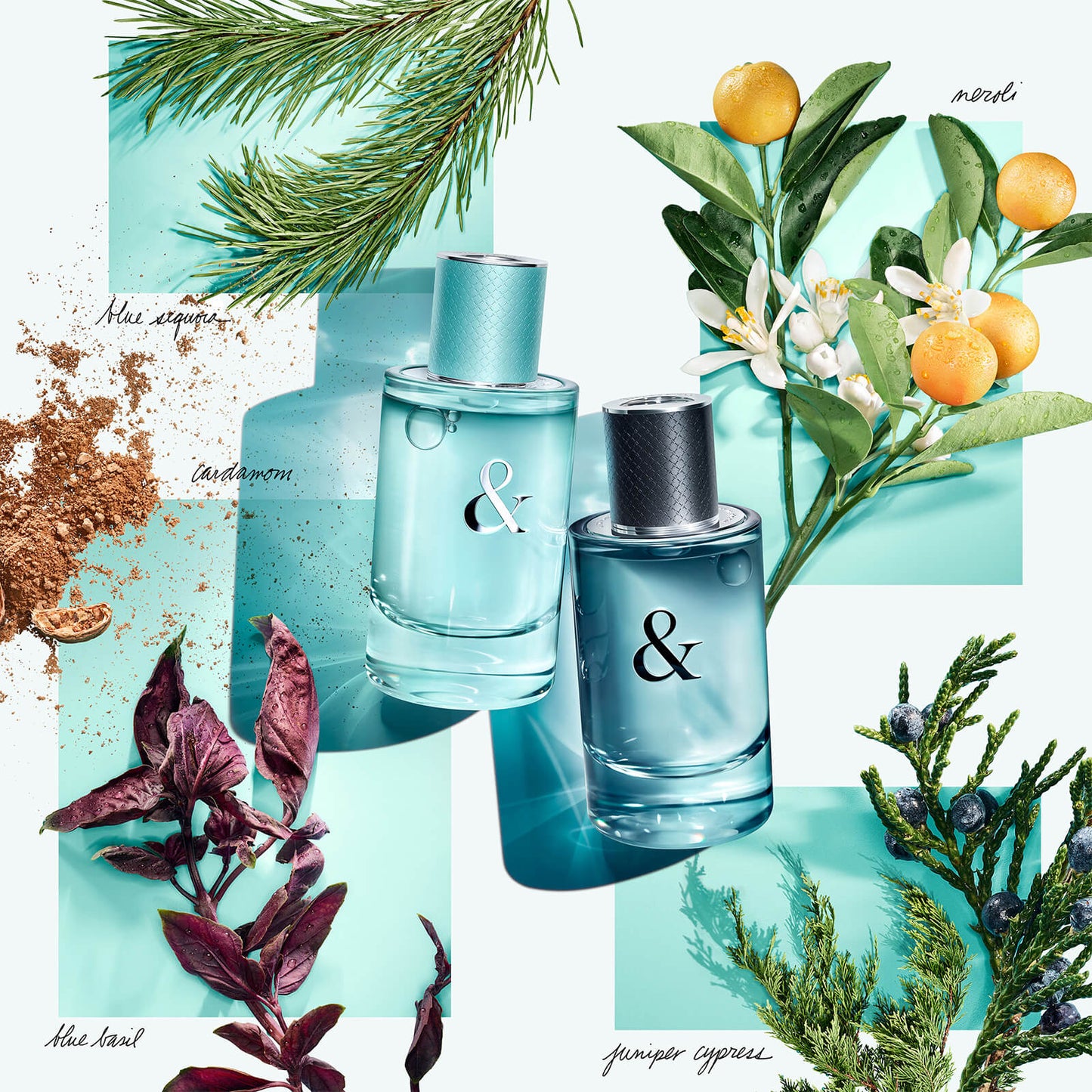 Tiffany & Co. & Love for Her Eau de Parfum 90ml