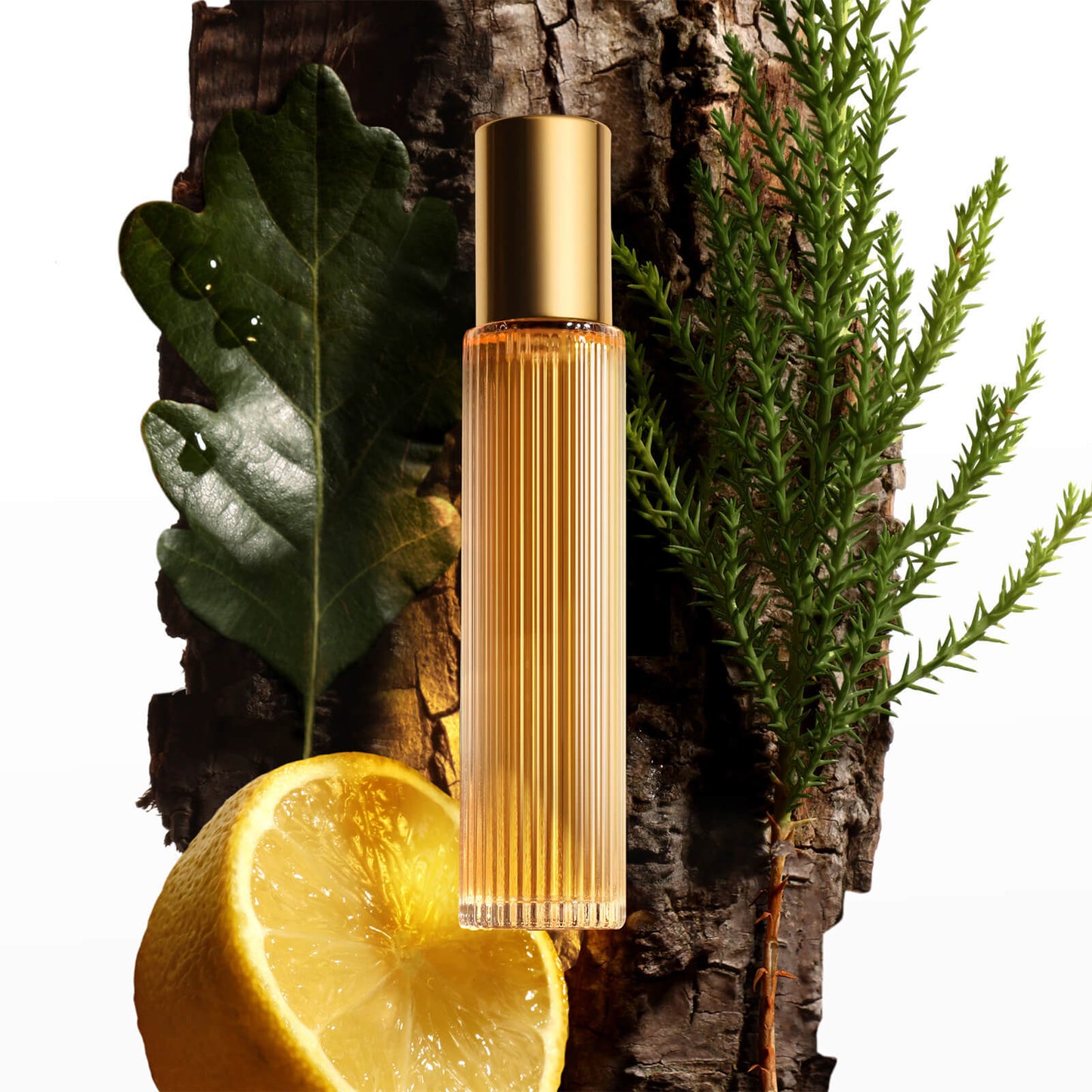 TOM FORD Signature Fragrances Costa Azzurra Eau de Parfum