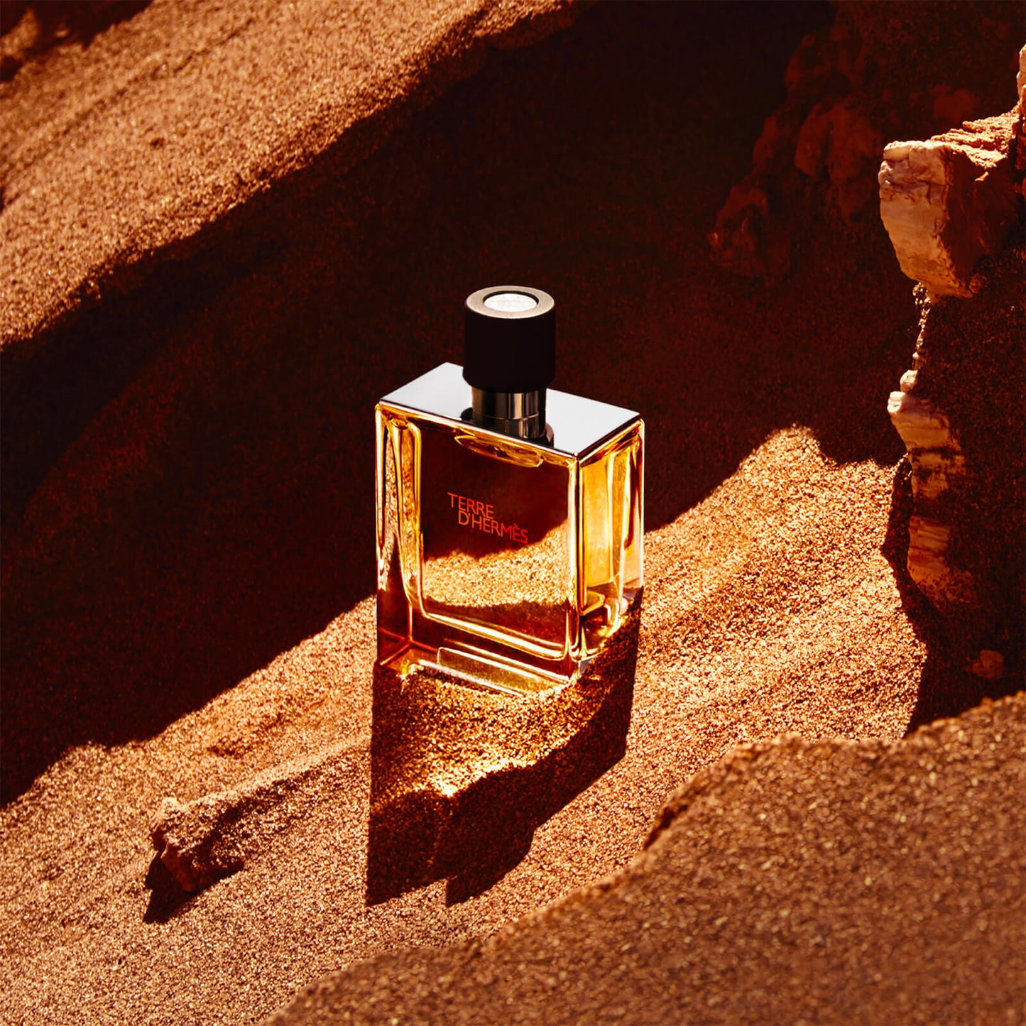 Hermès Terre d'Hermès Pure Perfume 75ml