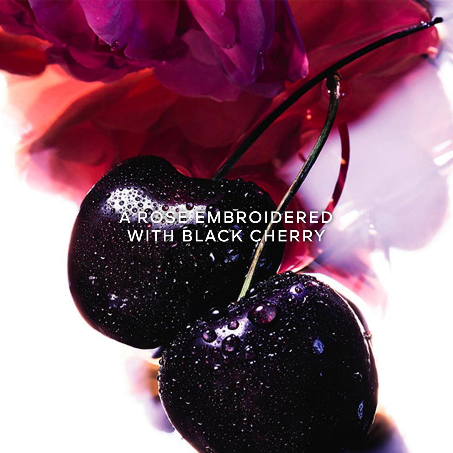 Guerlain La Petite Robe Noire