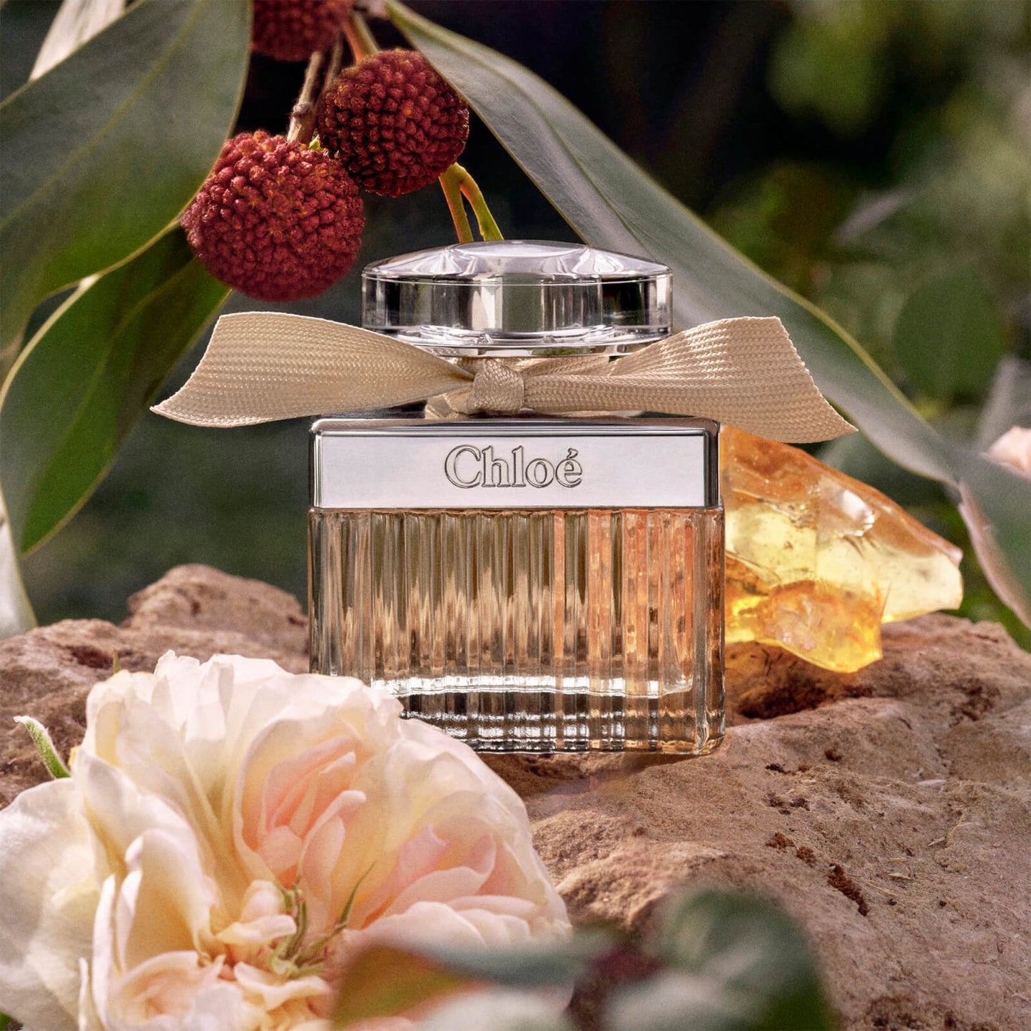 Chloé Damesgeuren Chloé Eau de parfum Dames 20ml