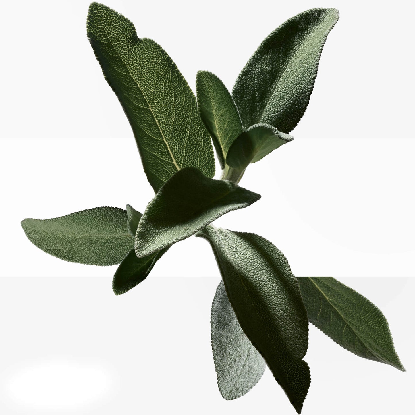 Hermès H24 Face Energizing Moisturizer 100ml