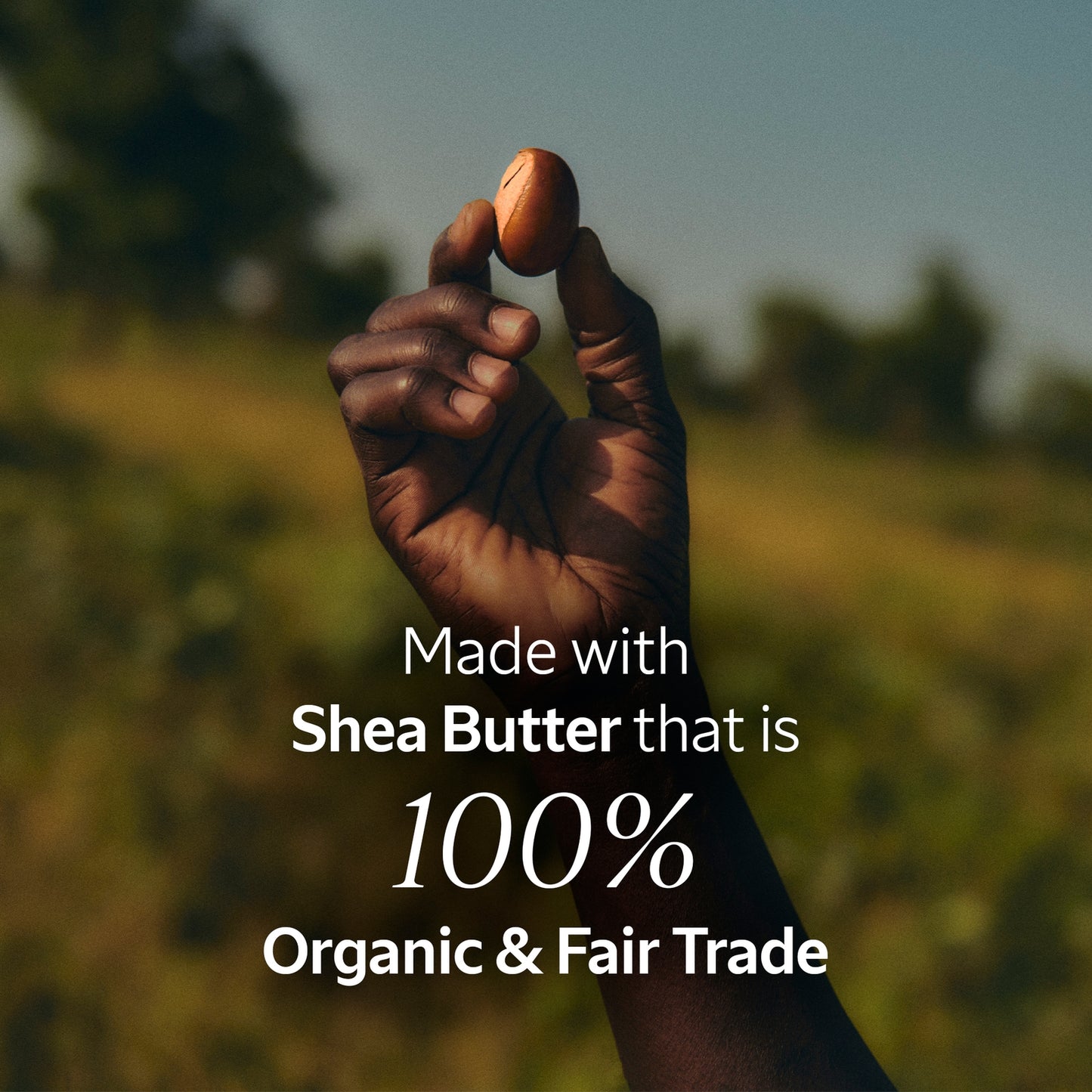L'OCCITANE Shea Butter Intense Hand Balm 150ml