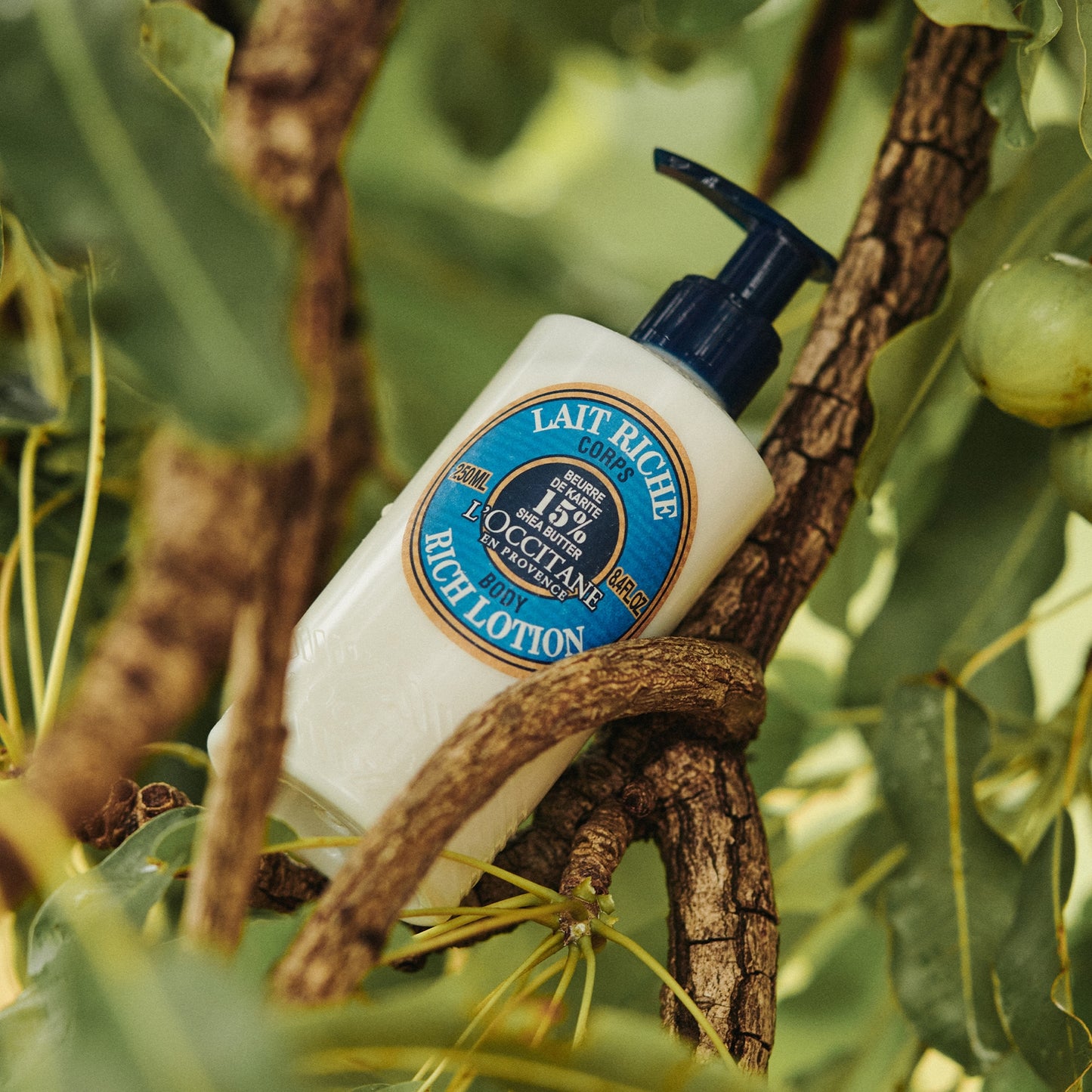 L'OCCITANE Shea Butter Rich Body Lotion 250ml