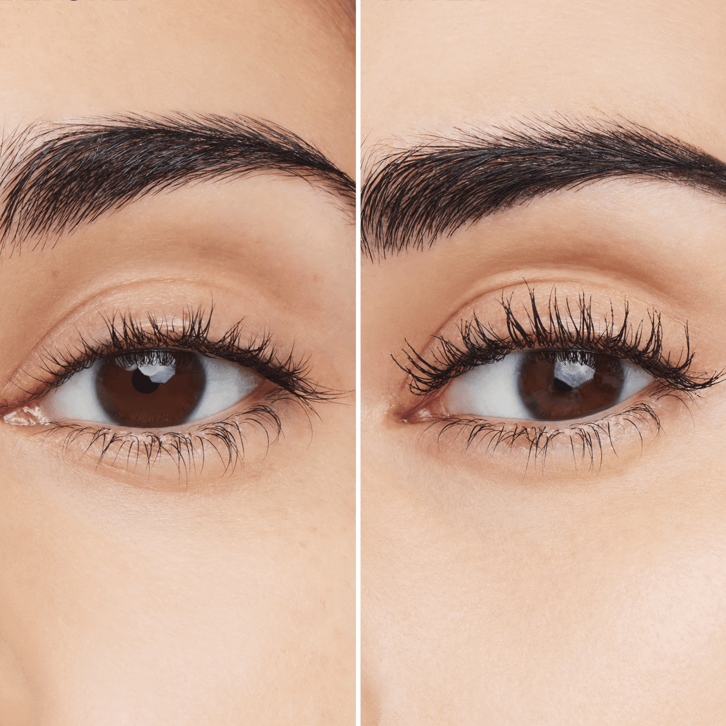 Estée Lauder Turbo Lash Mascara