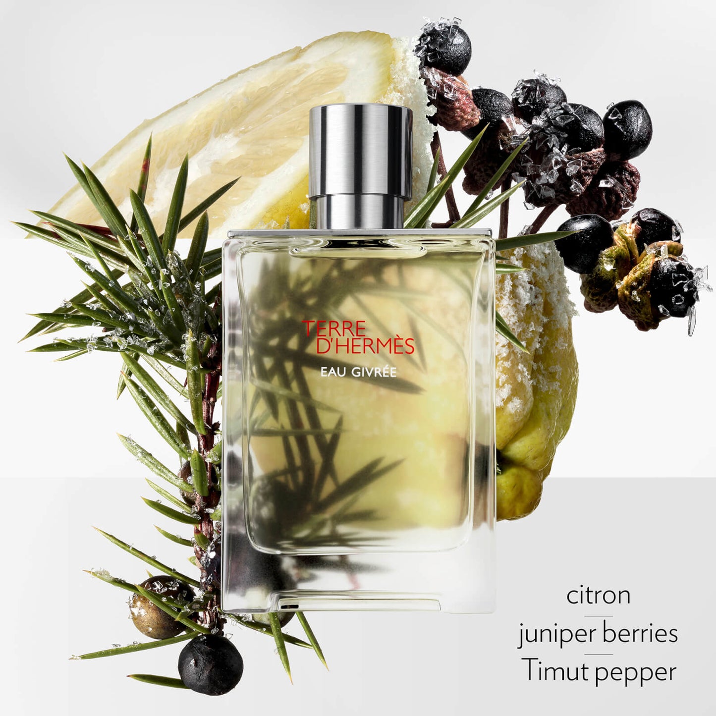Hermès Terre d’Hermès Eau Givrée Eau de Parfum 175ml