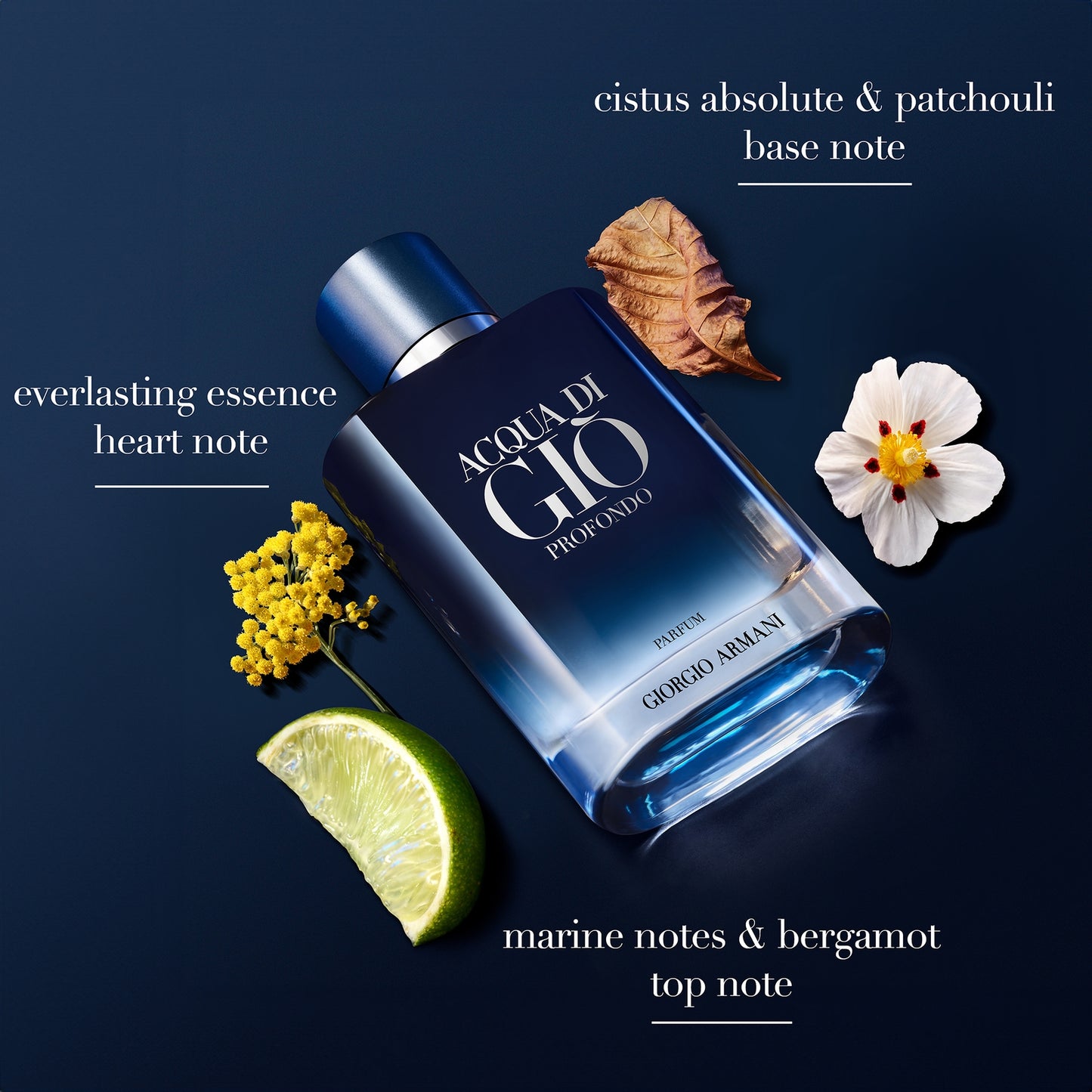 Armani Acqua di Giò Homme Profondo Le Parfum