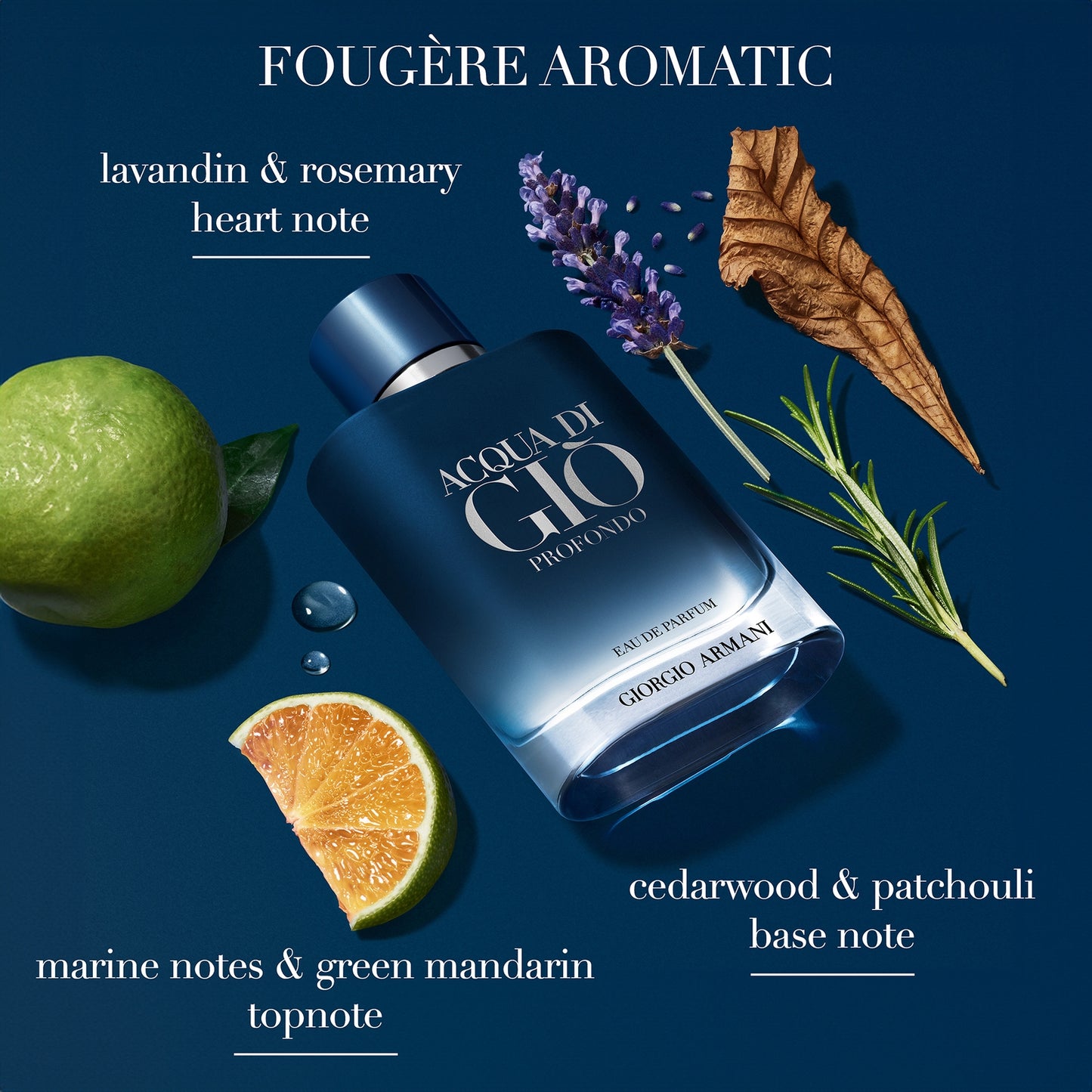 Armani Acqua di Giò Homme Profondo