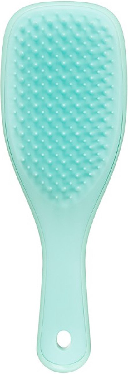 Tangle Teezer Wet Detangler Mini Sea Green