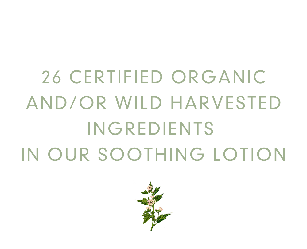 Organic Soothing Lotion