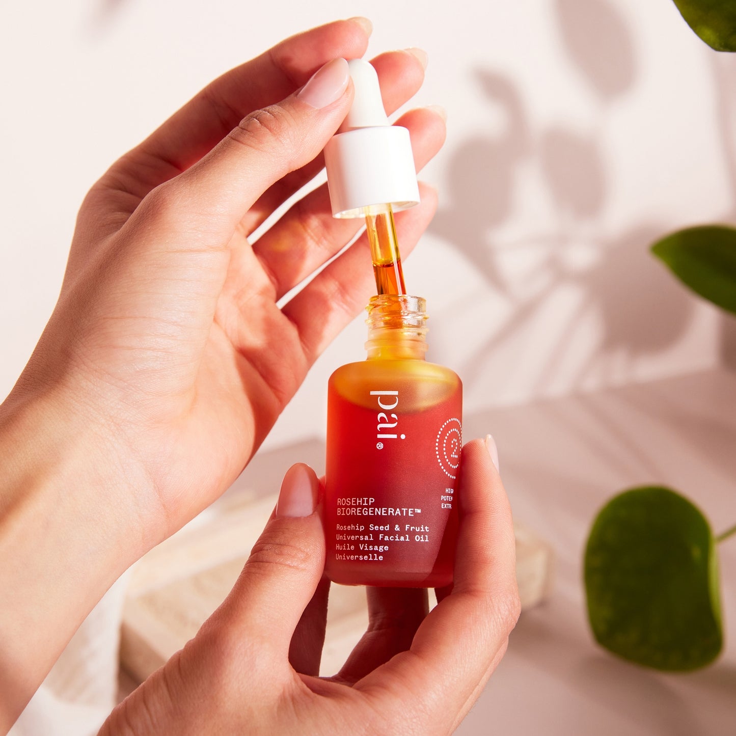 Pai Skincare Rosehip Bioregenerate