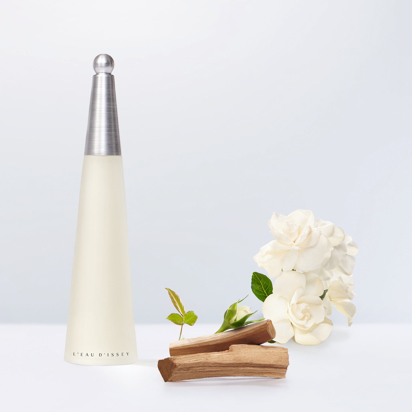 Issey Miyake L’Eau d’Issey Eau de Toilette Spray