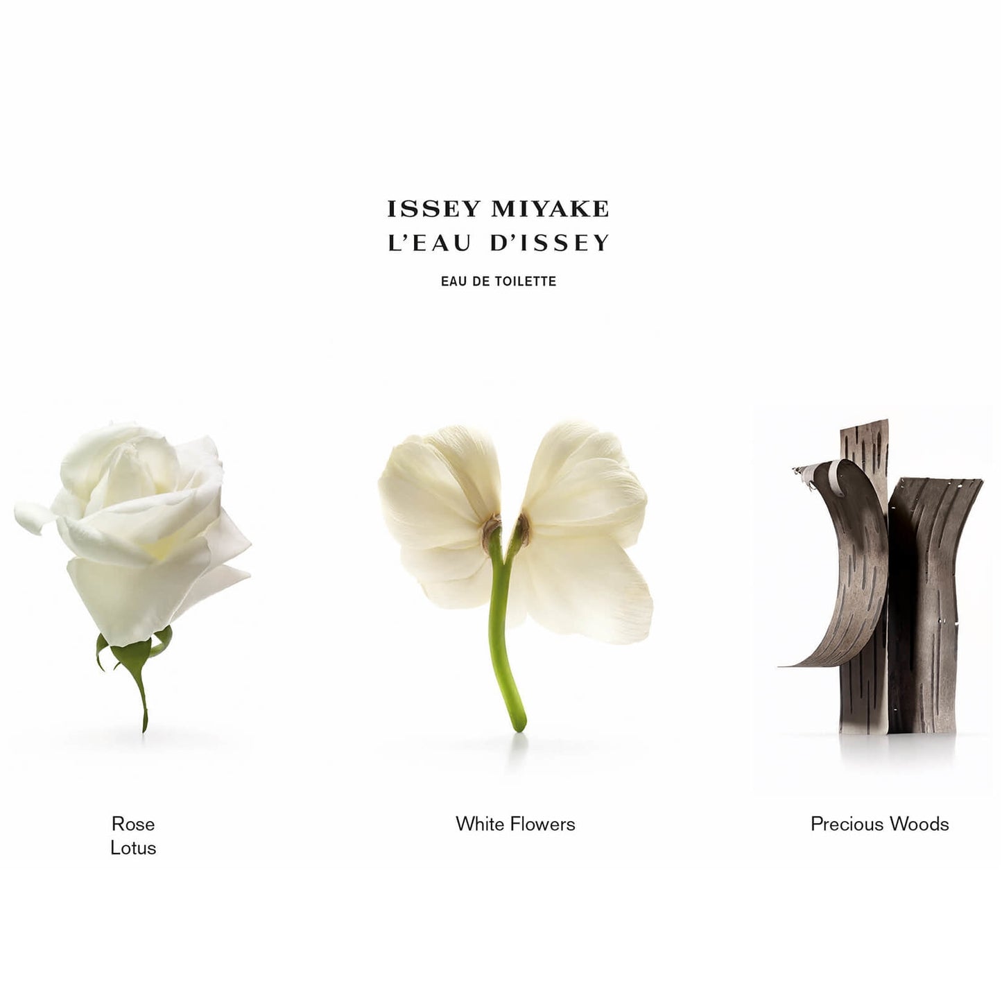 Issey Miyake L’Eau d’Issey Eau de Toilette Spray