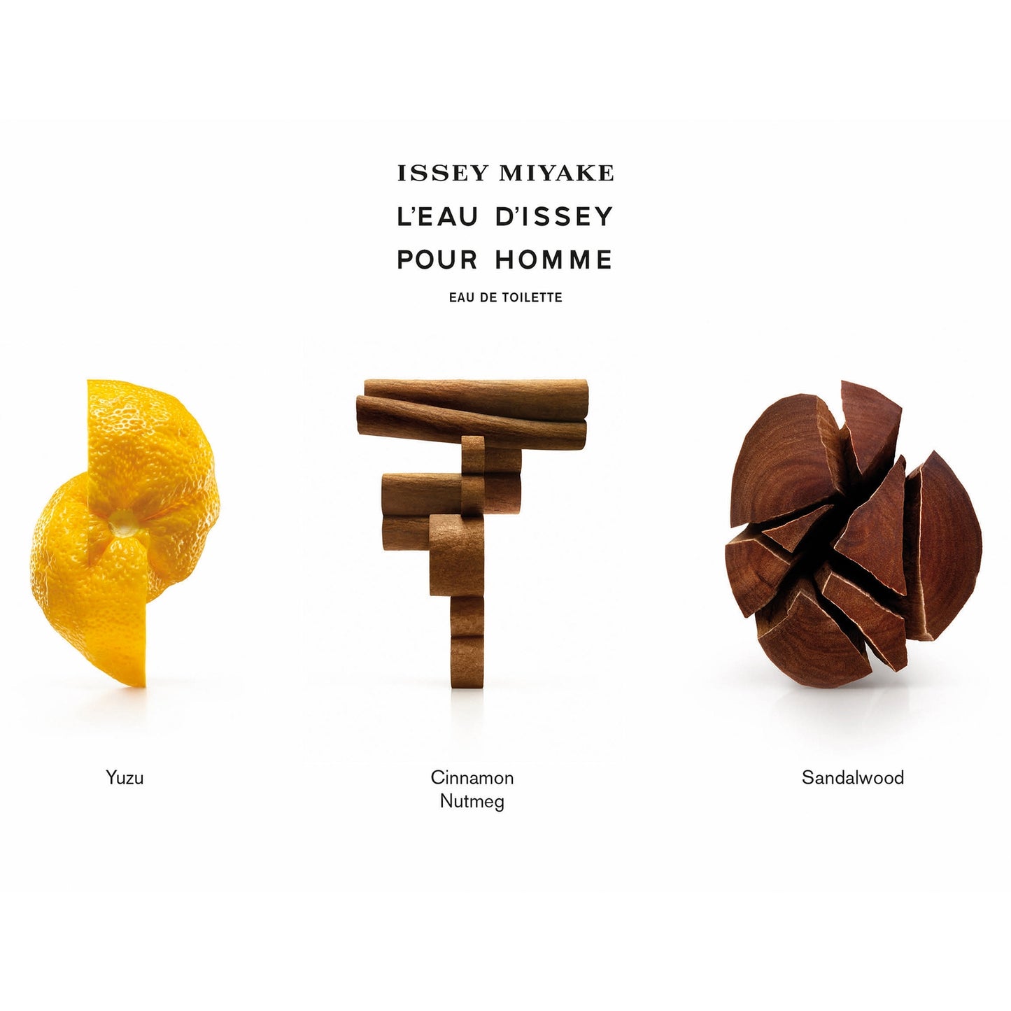Issey Miyake L'Eau d'Issey pour Homme Eau de Toilette