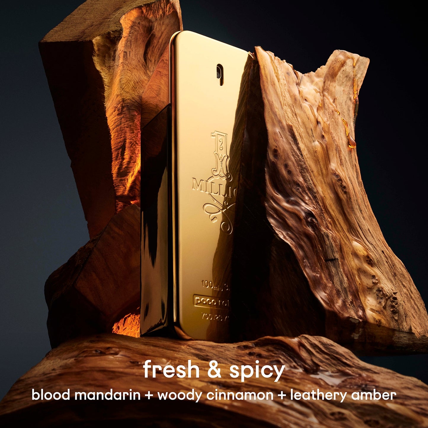 Rabanne 1 Million 1 Million Eau de Toilette Spray