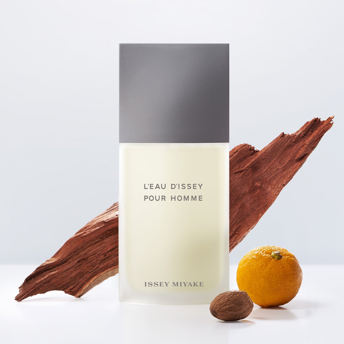 Issey Miyake L'Eau d'Issey pour Homme Eau de Toilette