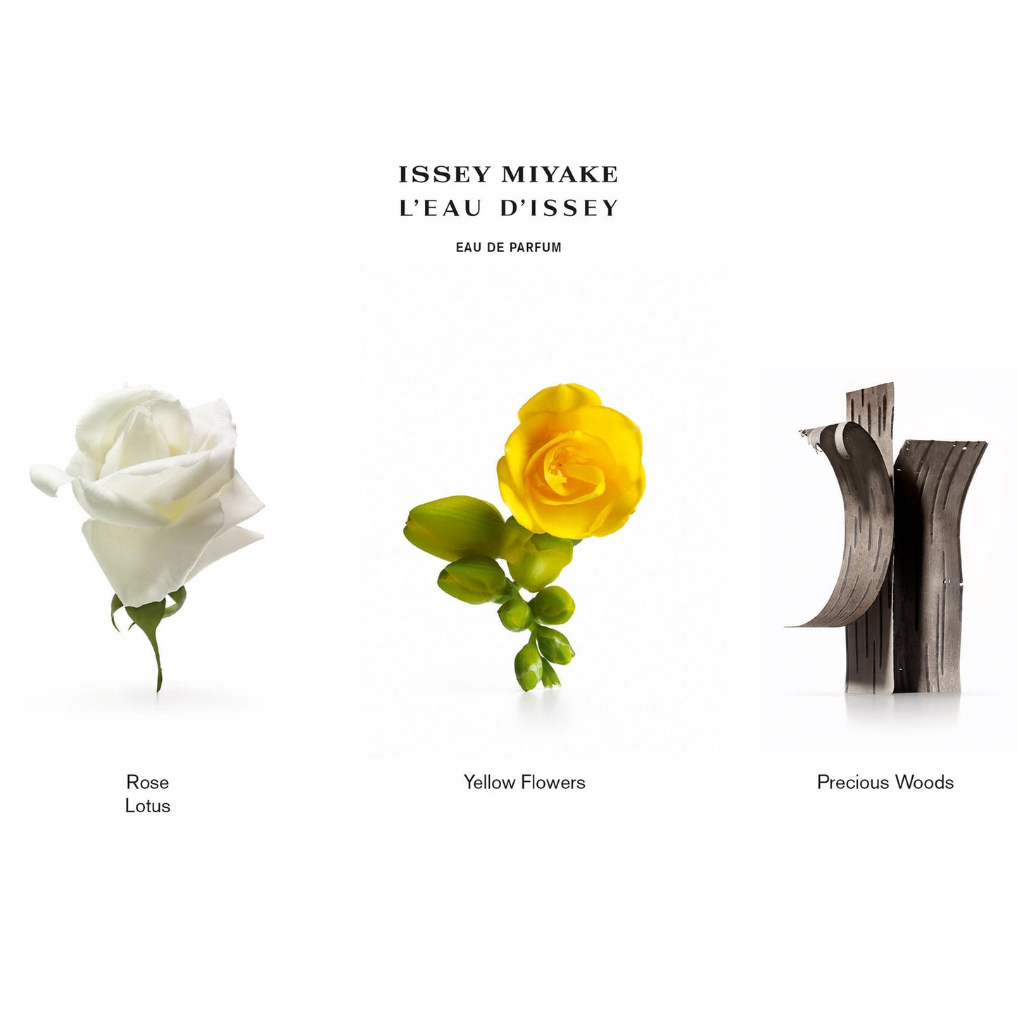 Issey Miyake L'Eau d'Issey Eau de Parfum 75ml