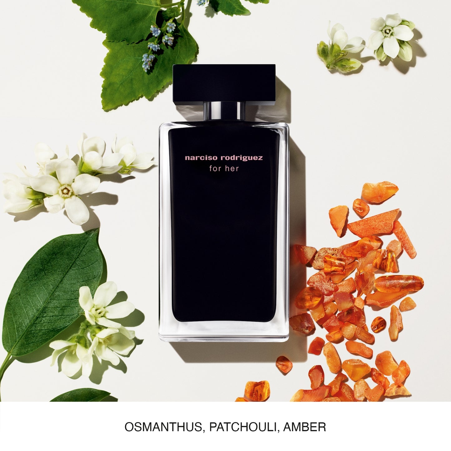 Narciso Rodriguez for her