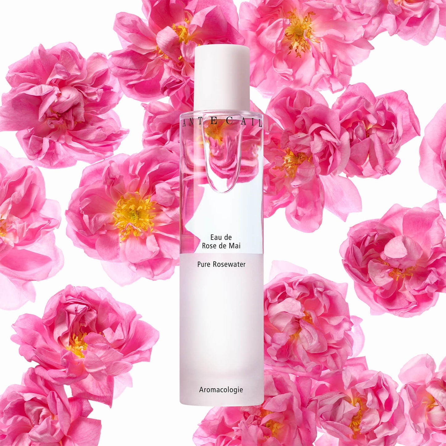 Chantecaille Puur rozenwater