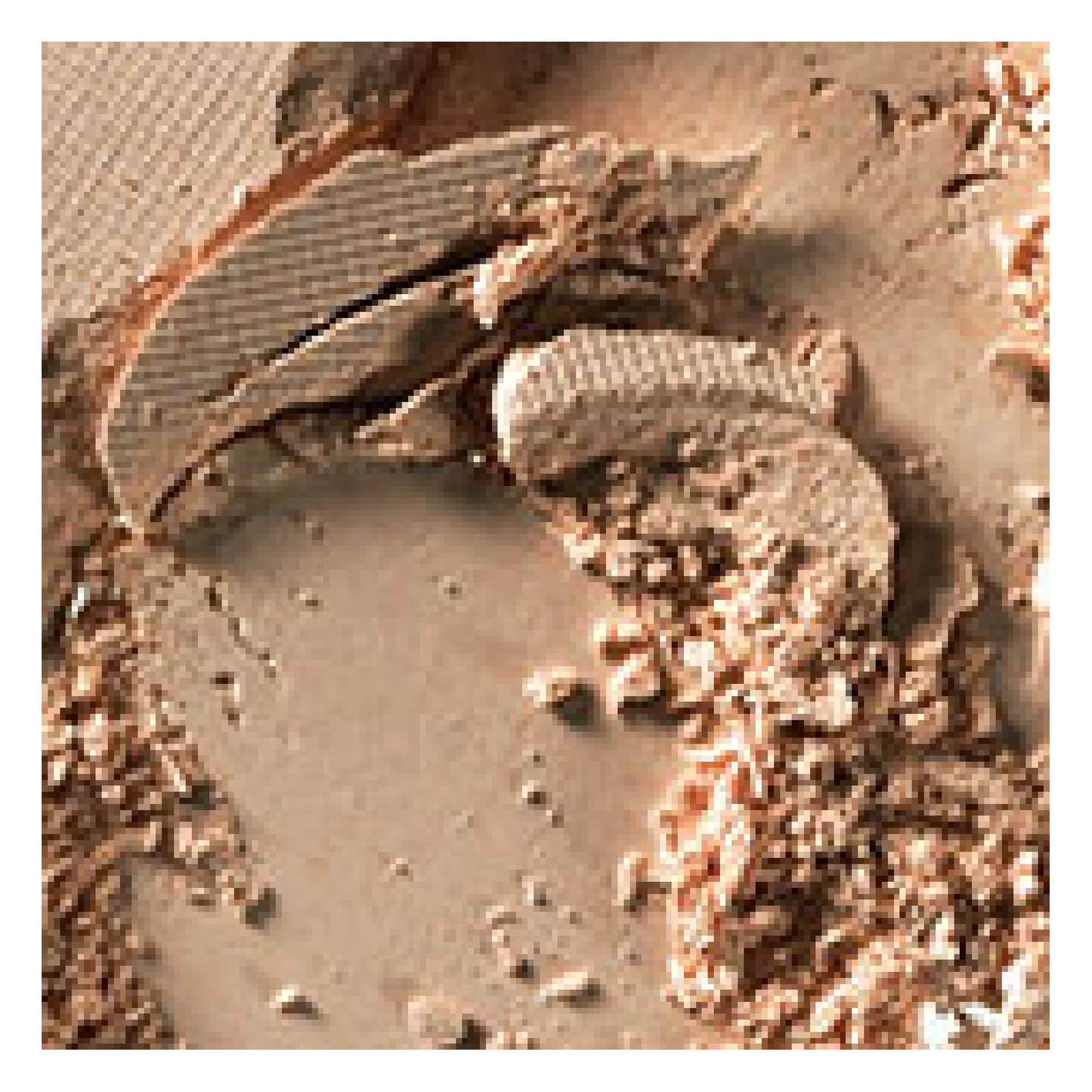 MAC Blot Powder Pressed