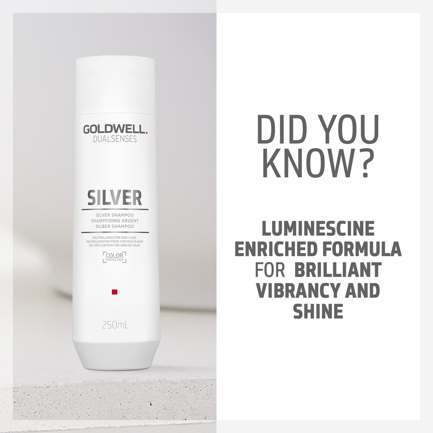 Goldwell Dualsenses Silver Shampoo For Grey & Cool Blonde Hair 250ml