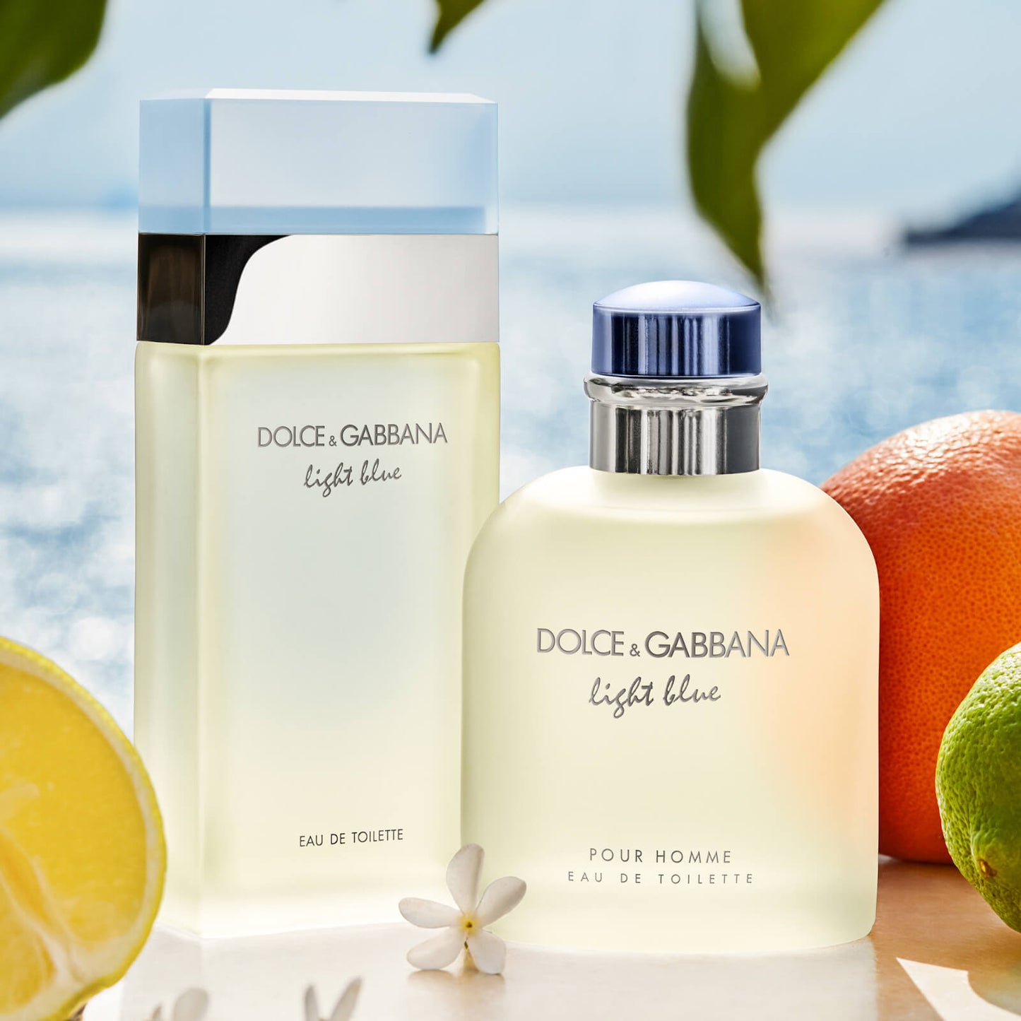 Dolce&Gabbana Light Blue Eau de Toilette