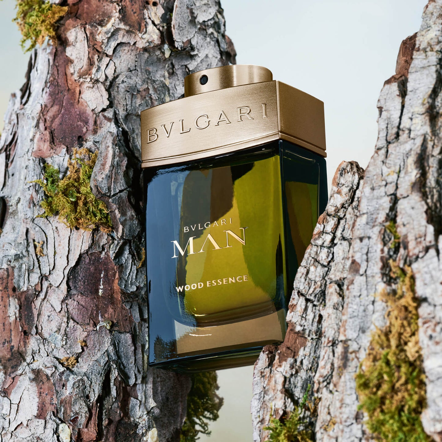 BVLGARI BVLGARI MAN Wood Essence Eau de Parfum