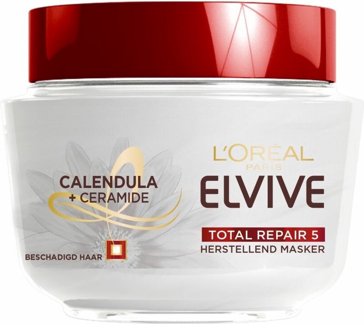 L'Oréal Paris Elvive Total Repair 5 Haarmasker - 300 ml