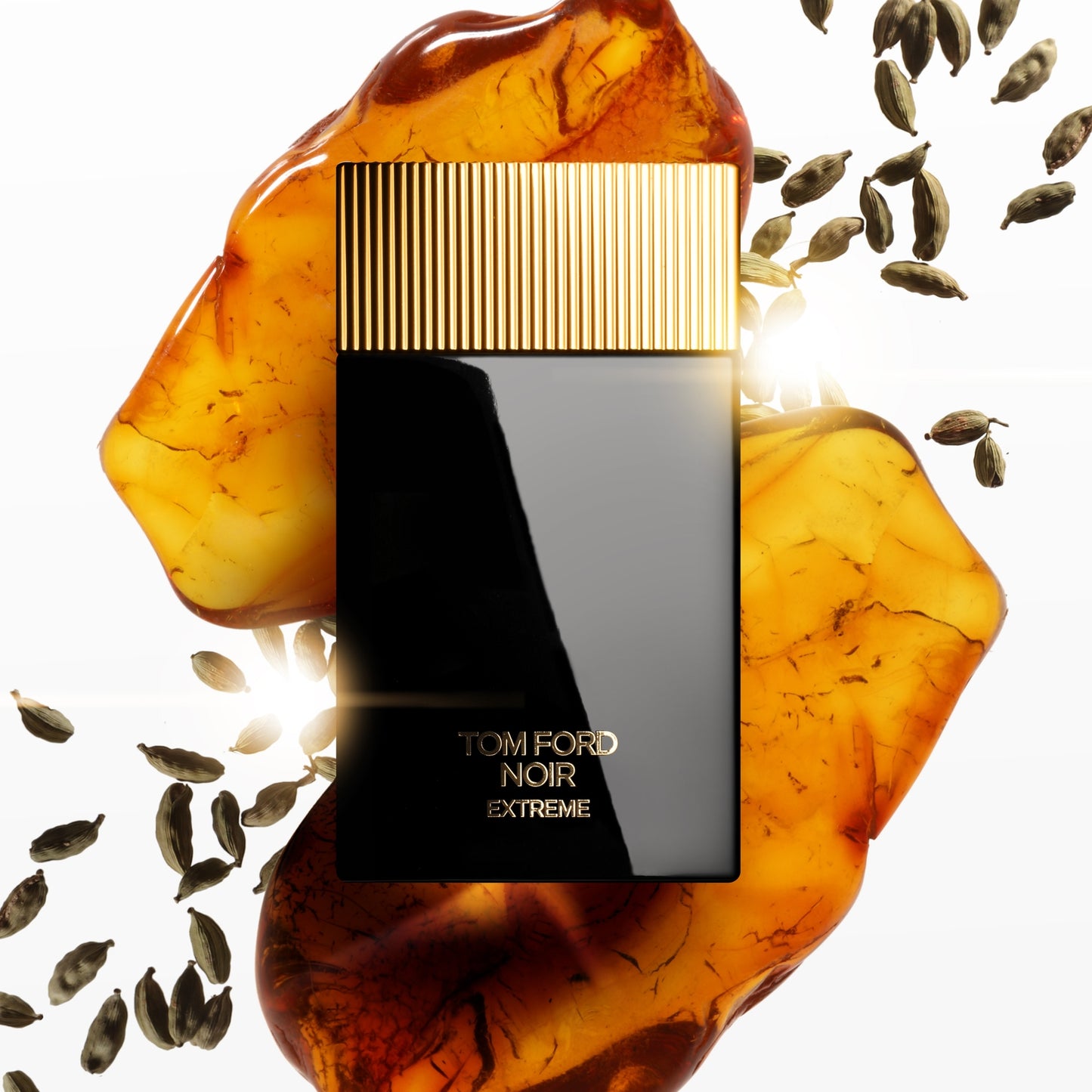 TOM FORD Signature Fragrances Noir Extrême Eau de Parfum