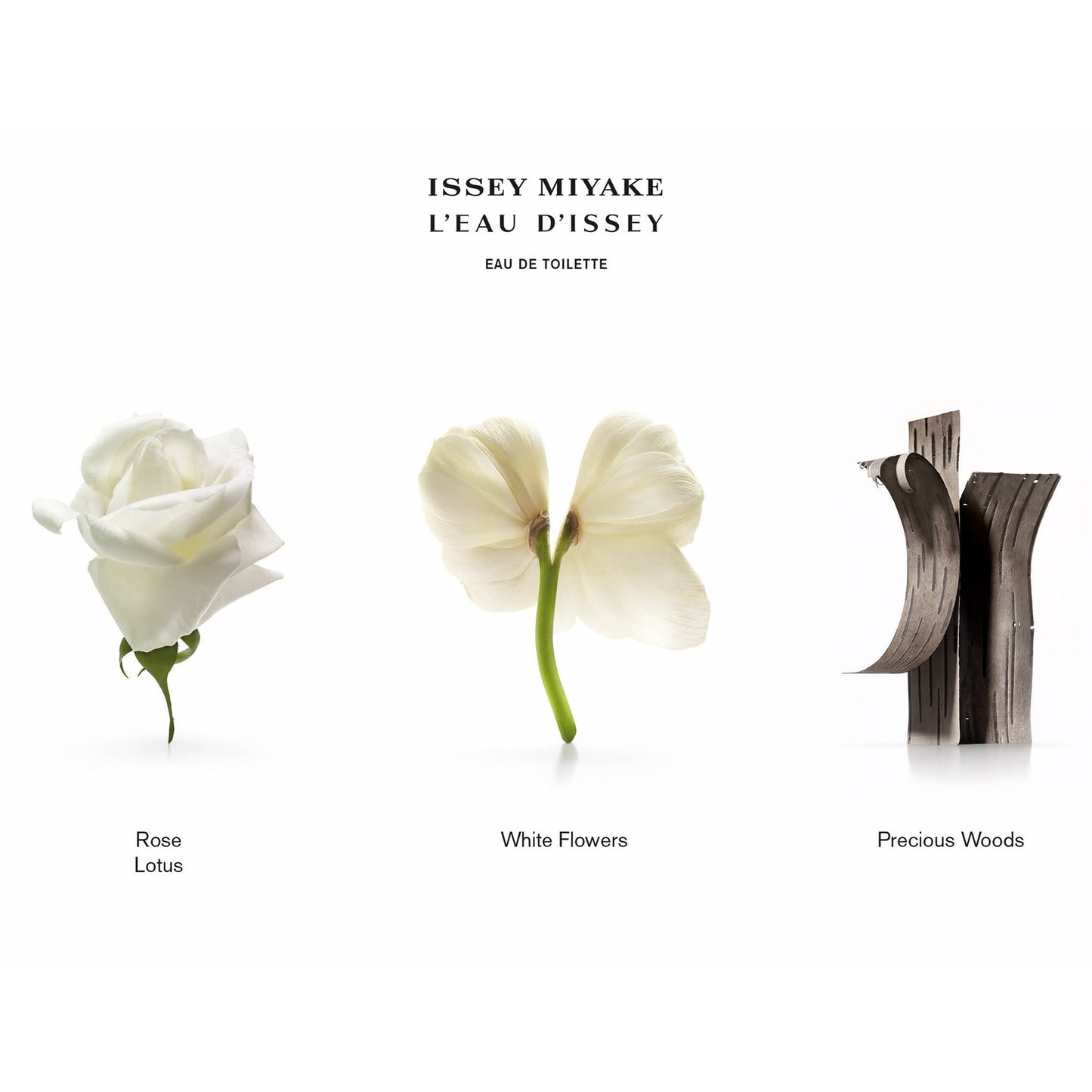 Issey Miyake L’Eau d’Issey Eau de Toilette Spray
