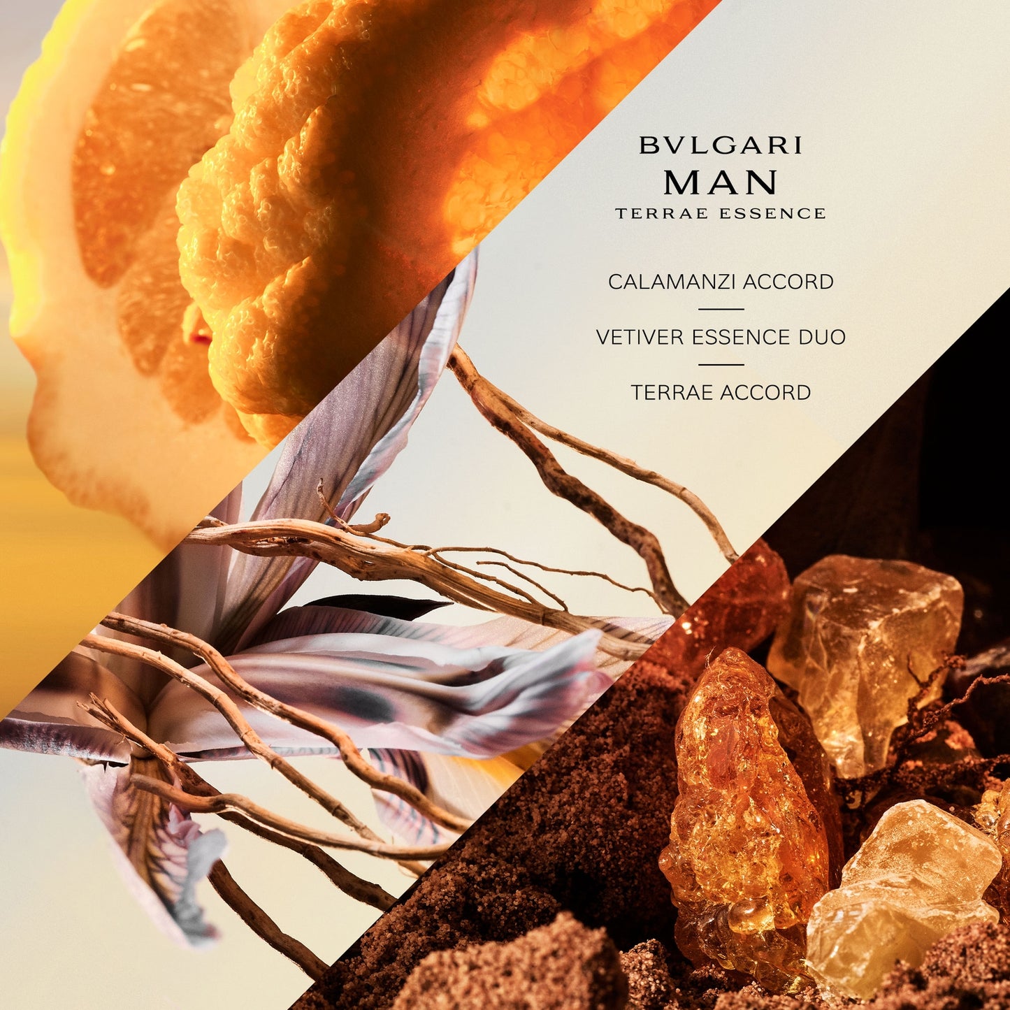 BVLGARI Man Terrae Essence Eau De Parfum 100ml
