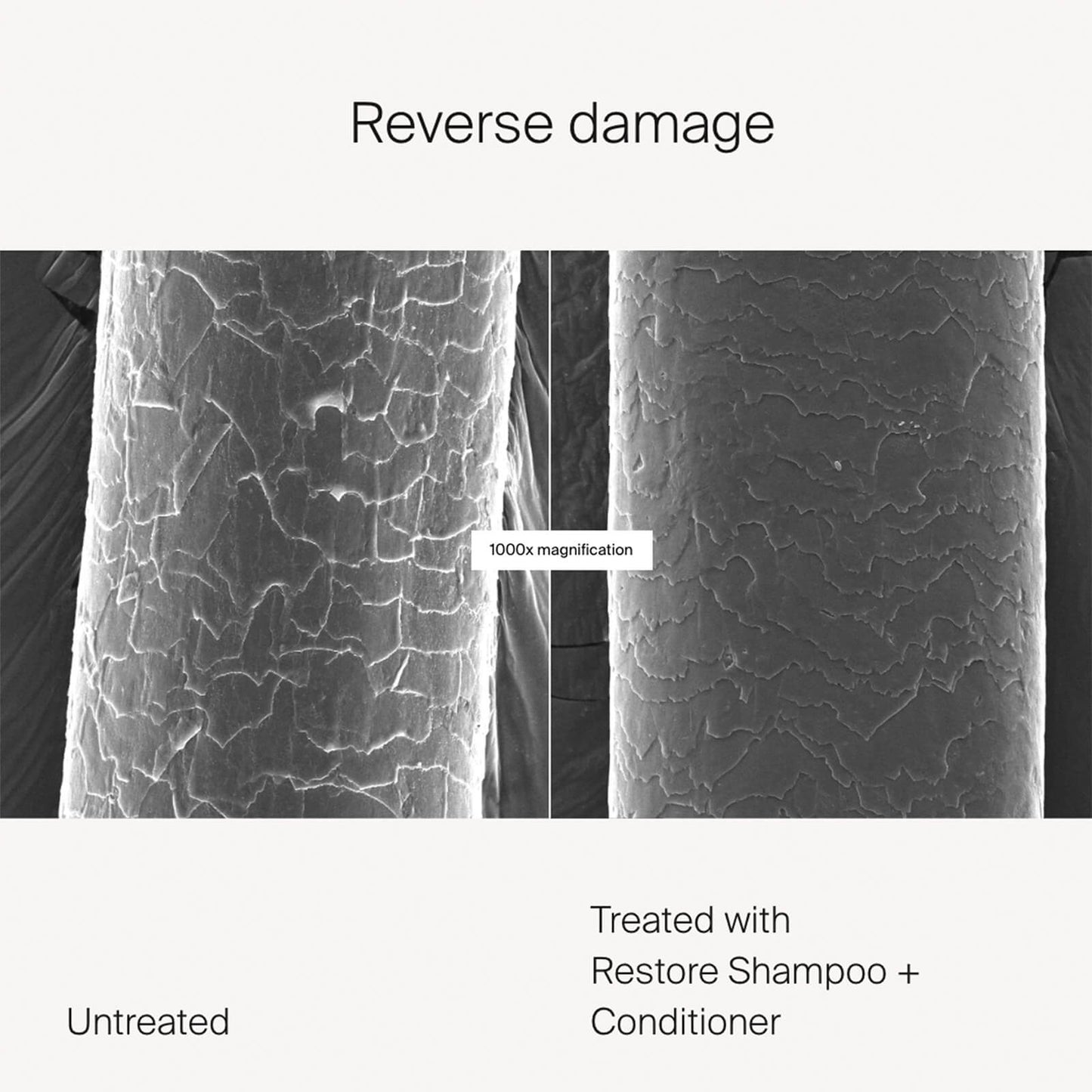 Living Proof restore Shampoo