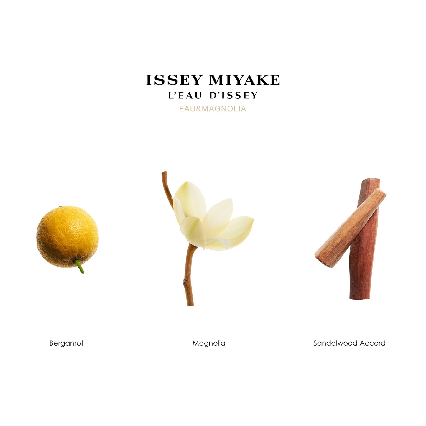Issey Miyake L’Eau d’Issey Eau & Magnolia Eau de Toilette Intense