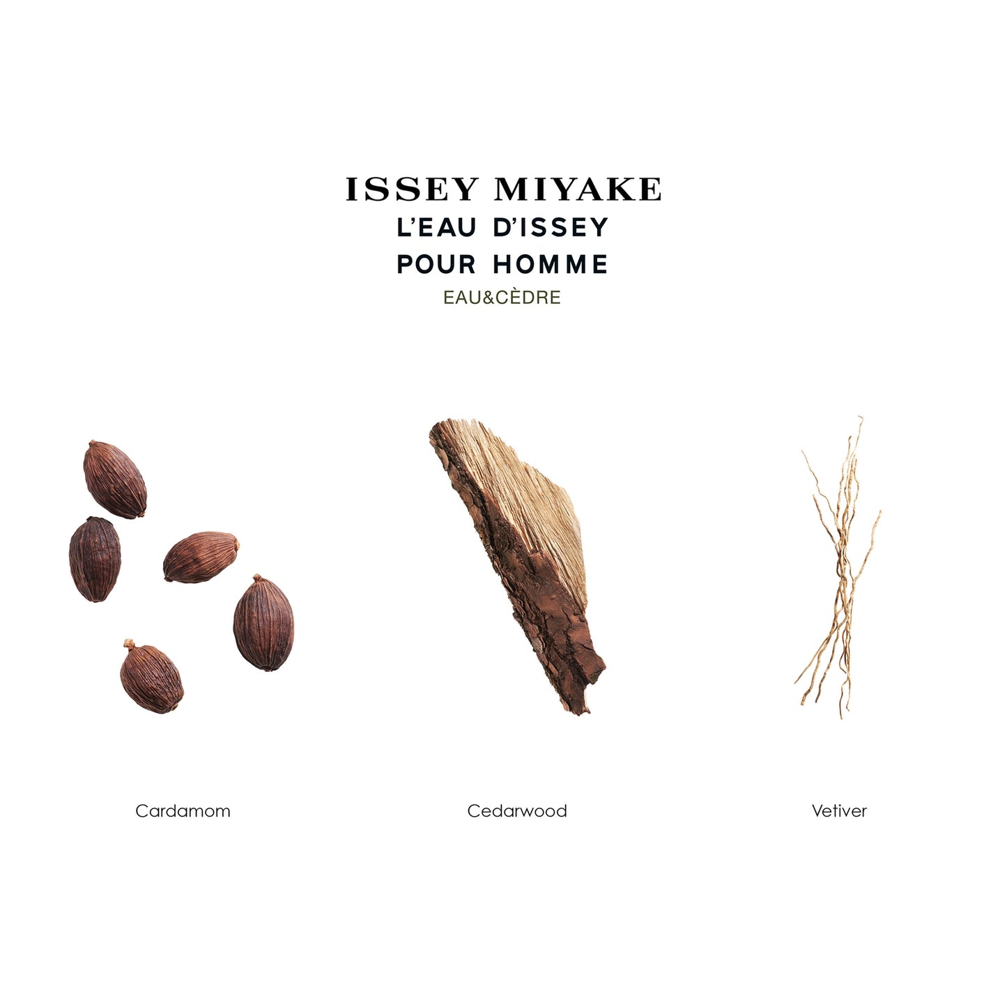 Issey Miyake L'Eau d'Issey pour Homme Eau & Cèdre Eau de Toilette Intense