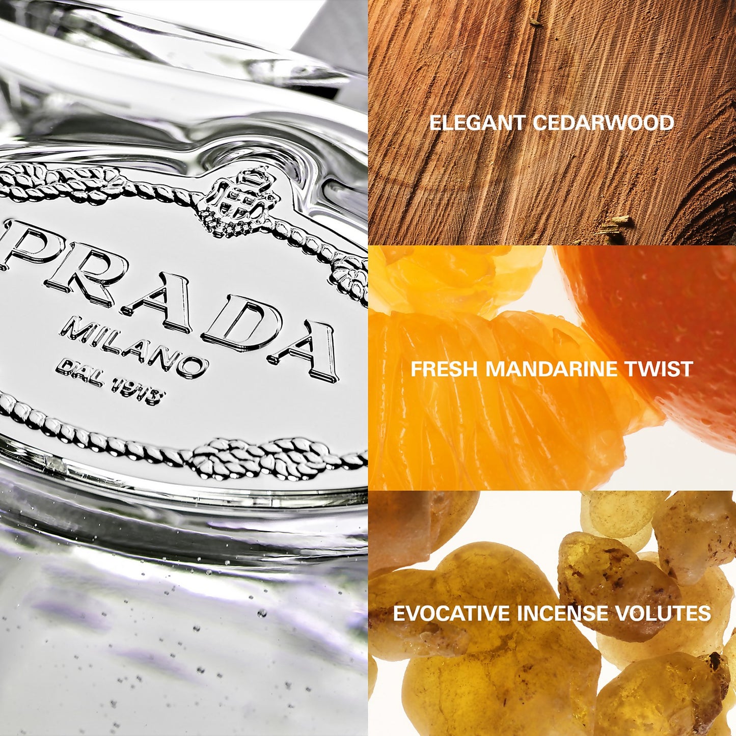 Prada Les Infusions Infusion de Cèdre
