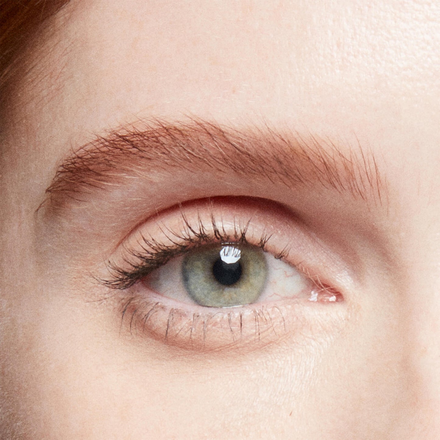 Bobbi Brown Natural Brow Shaper
