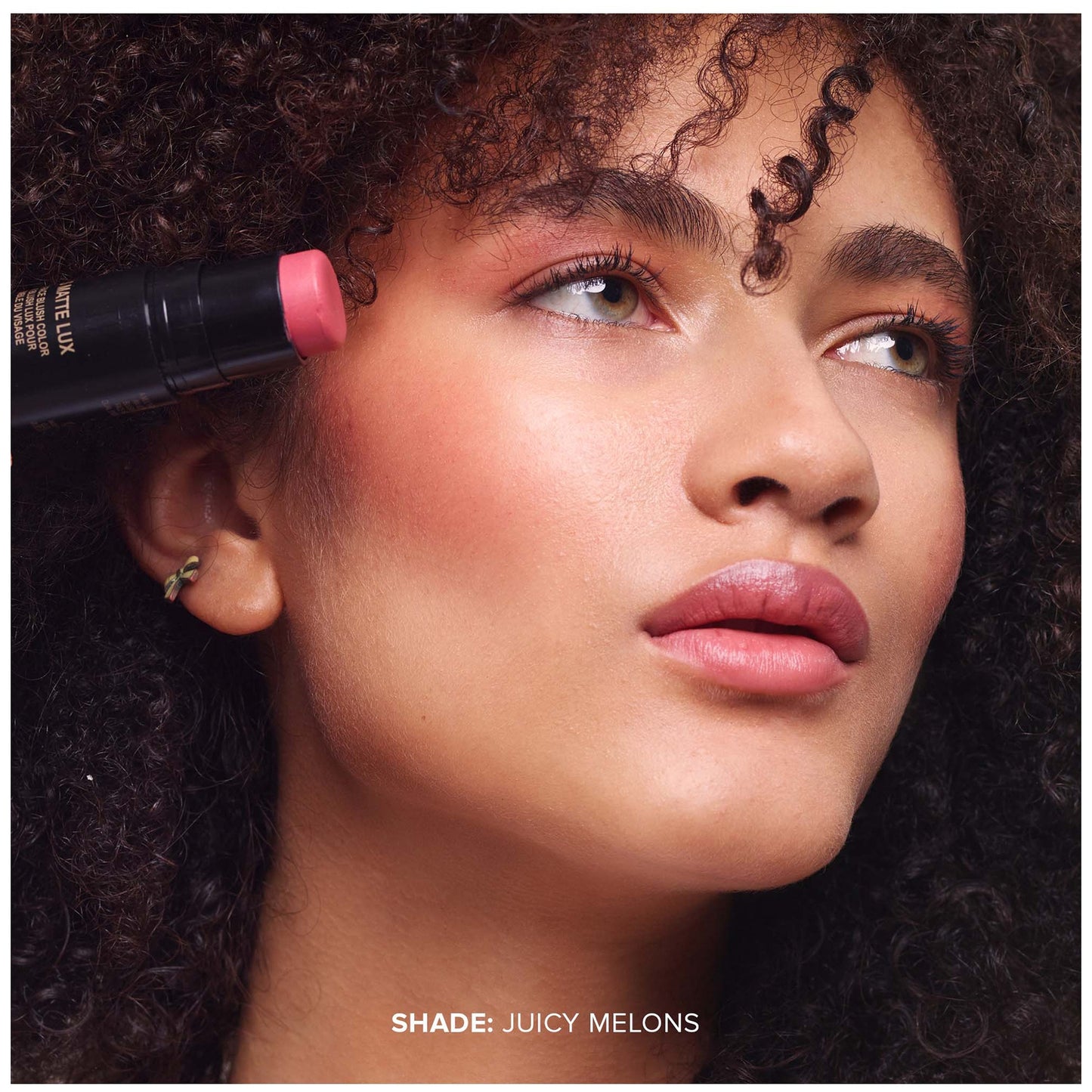 Nudestix Matte Lux All Over Face Blush
