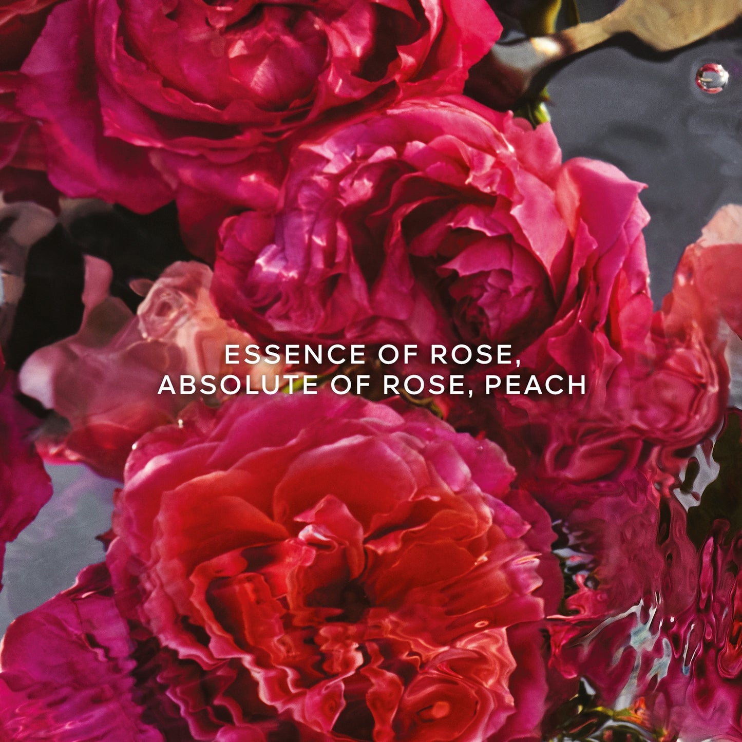 Guerlain Aqua Allegoria Rosa Rossa Forte