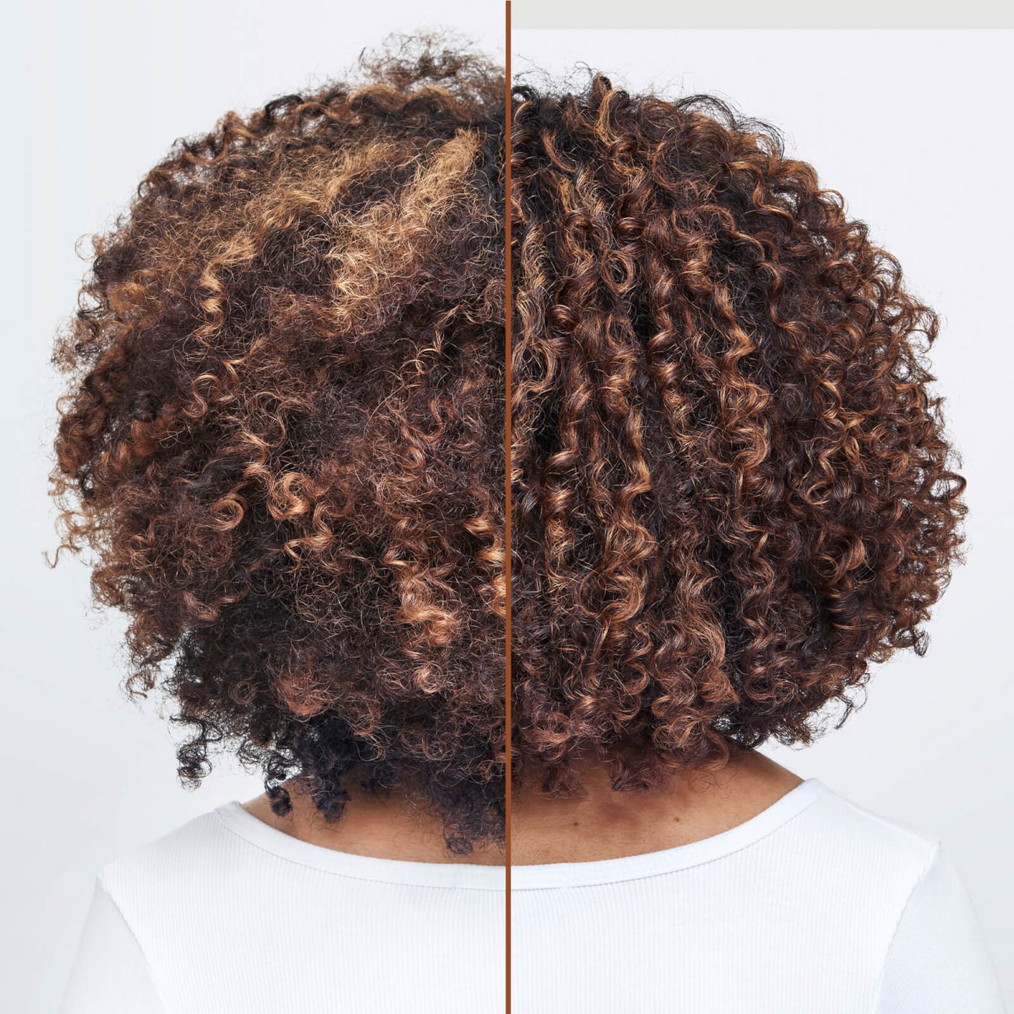 Redken All Soft Mega Curls Hydramelt Treatment