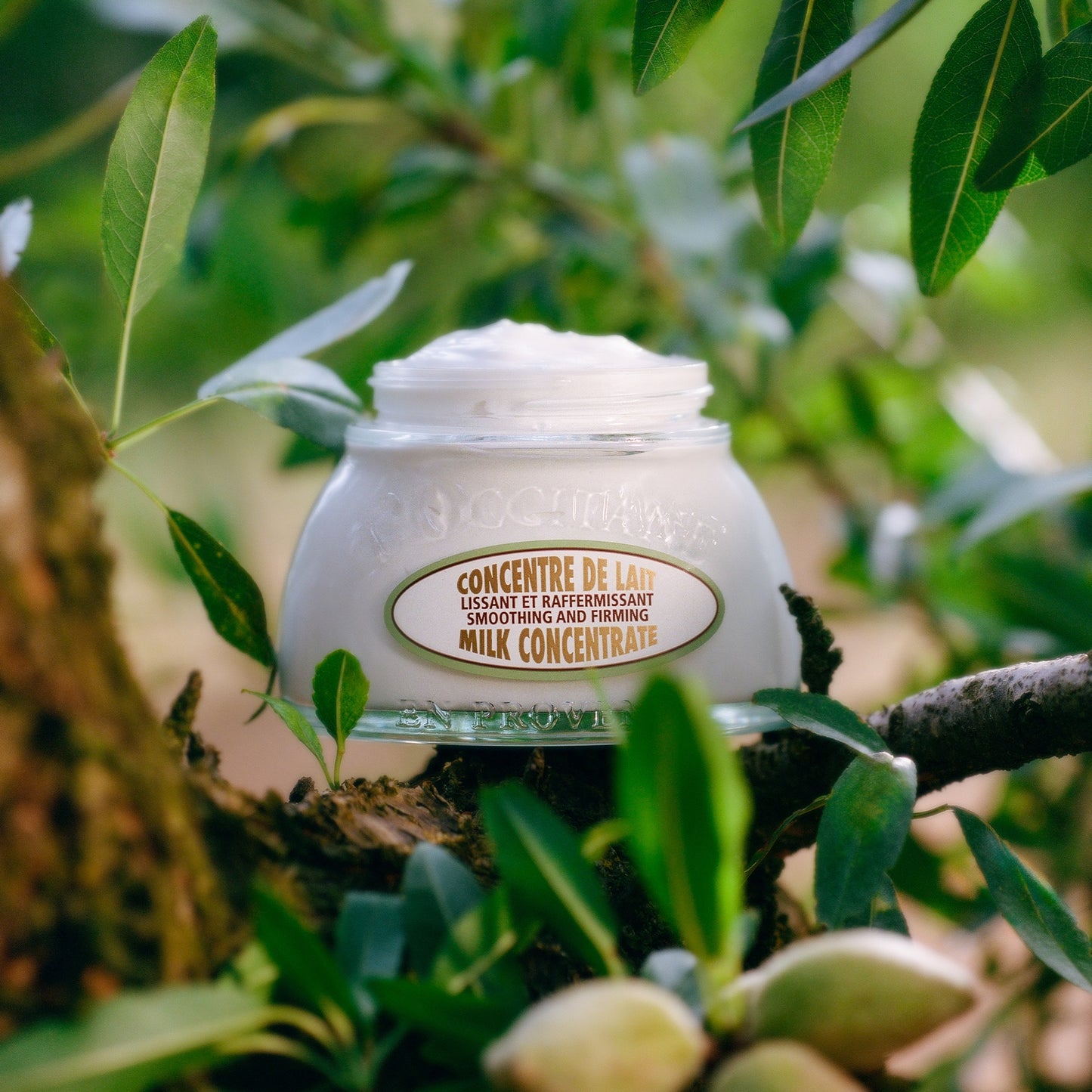 L'OCCITANE Almond Milk Concentrate Lotion 200ml