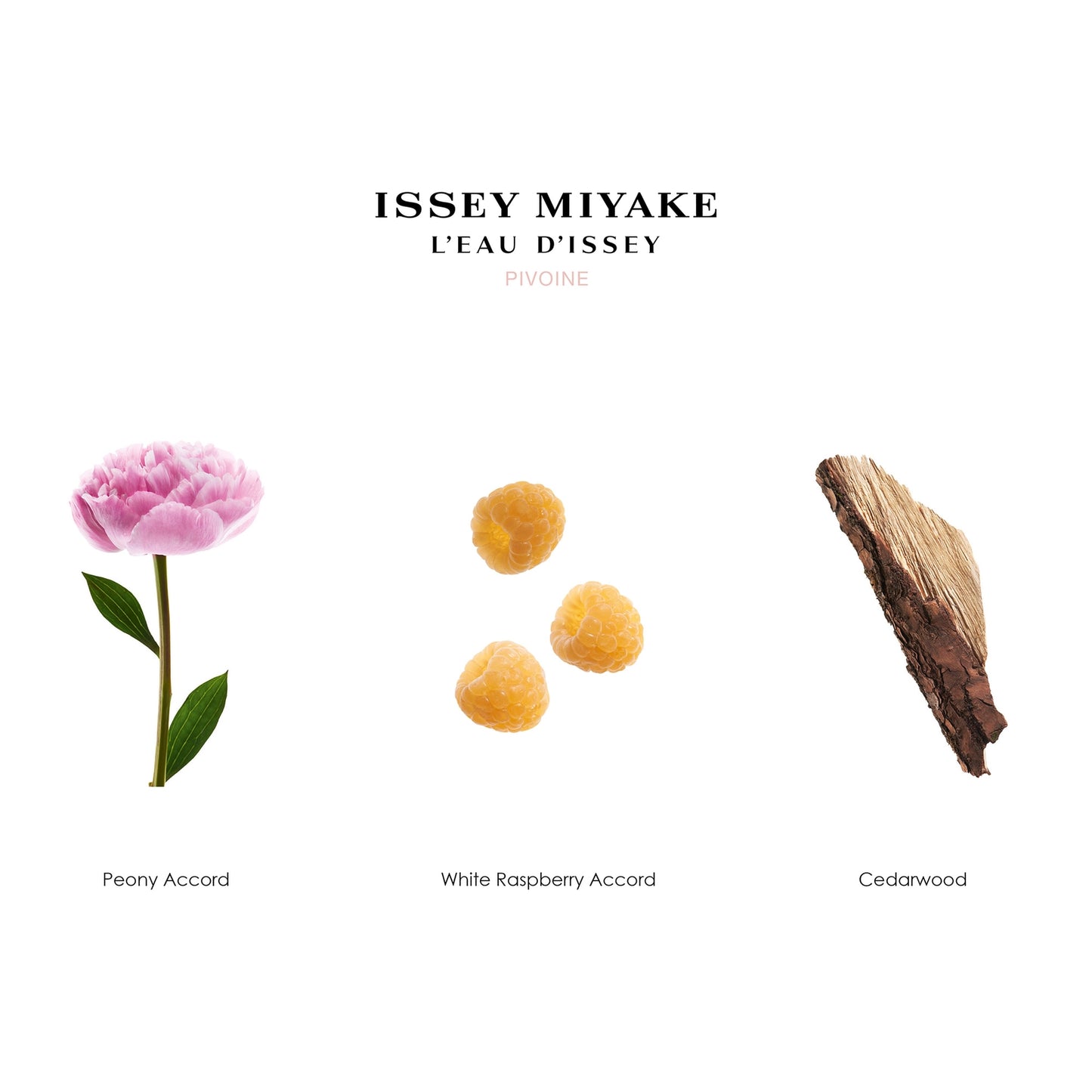 Issey Miyake L’Eau d’Issey Pivoine Eau de Toilette Intense