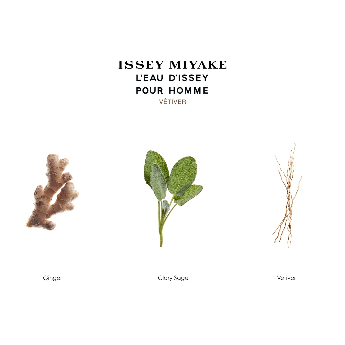 Issey Miyake L'Eau D'Issey Vetiver Eau de Toilette Intense 100ml