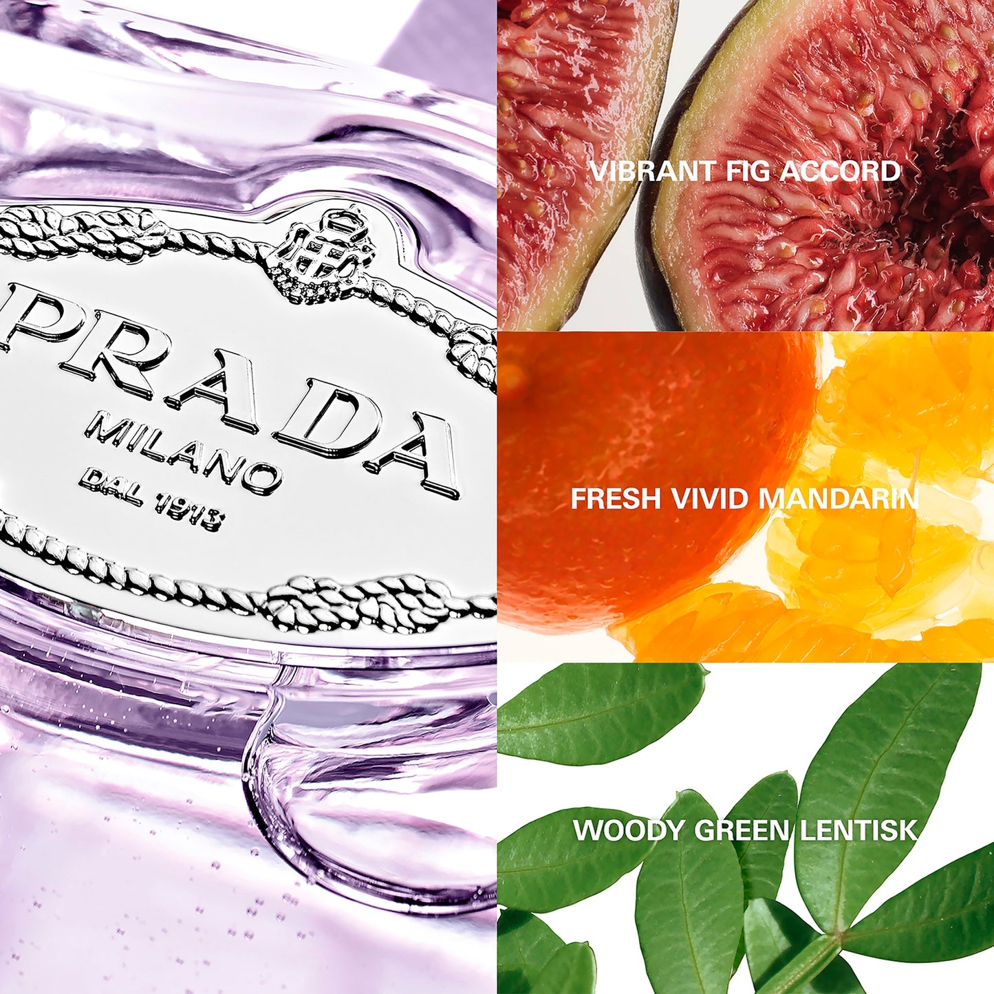 Prada Infusion De Figue Eau de Parfum 100ml