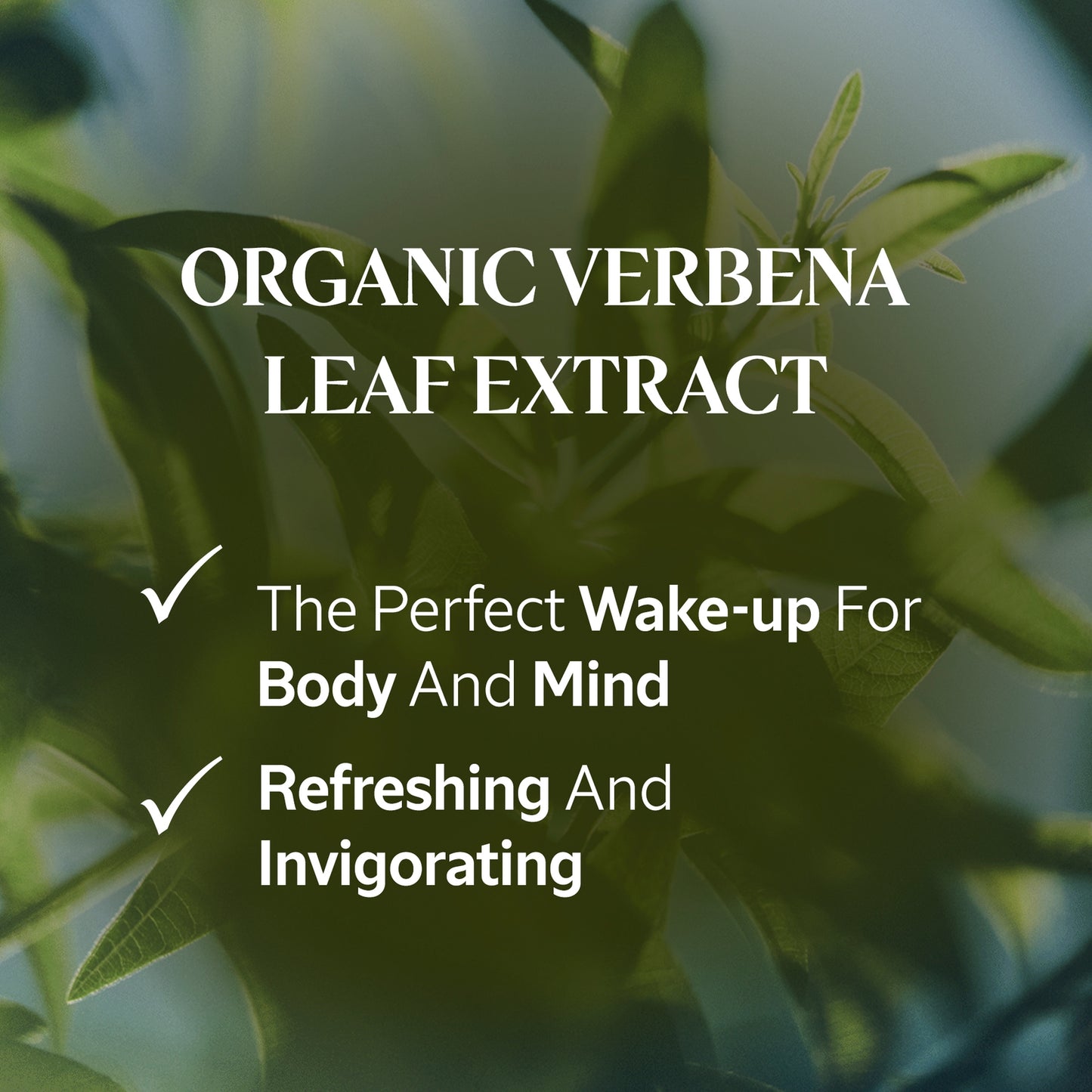 L'OCCITANE Verbena Body Lotion 250ml