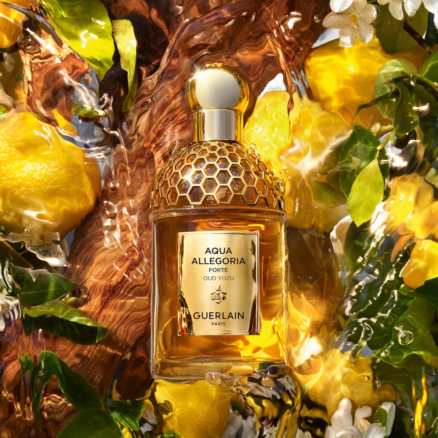 Guerlain Aqua Allegoria Forte Oud Yuzu