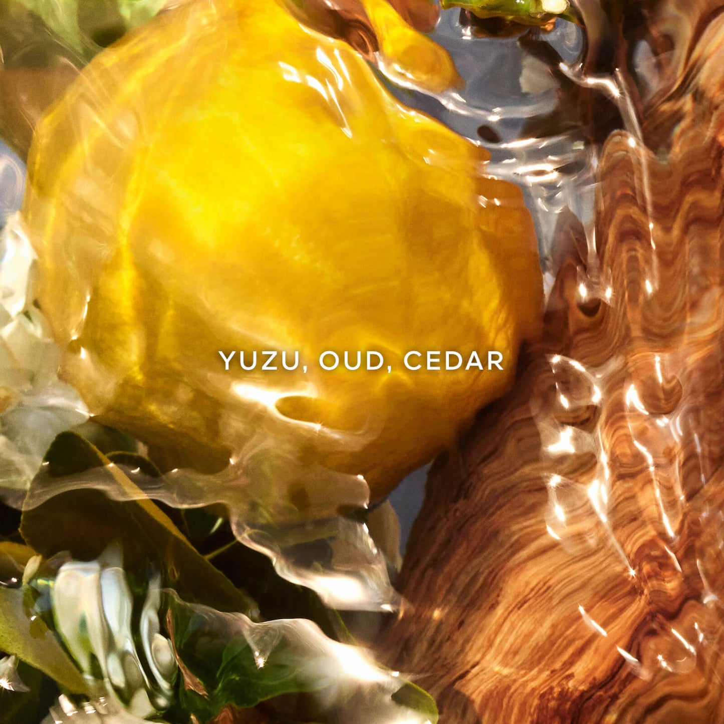 Guerlain Aqua Allegoria Forte Oud Yuzu